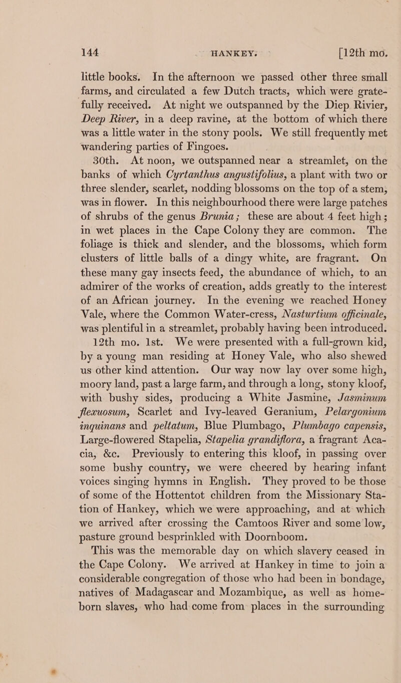 little books. In the afternoon we passed other three small farms, and circulated a few Dutch tracts, which were grate- fully received. At night we outspanned by the Diep Rivier, Deep River, ina deep ravine, at the bottom of which there was a little water in the stony pools. We still frequently met ‘wandering parties of Fingoes. 30th. At noon, we outspanned near a streamlet, on the banks of which Cyrtanthus angustifolius, a plant with two or three slender, scarlet, nodding blossoms on the top of a stem, was in flower. In this neighbourhood there were large patches of shrubs of the genus Brunia; these are about 4 feet high; in wet places in the Cape Colony they are common. The foliage is thick and slender, and the blossoms, which form clusters of little balls of a dingy white, are fragrant. On these many gay insects feed, the abundance of which, to an admirer of the works of creation, adds greatly to the interest of an African journey. In the evening we reached Honey Vale, where the Common Water-cress, Nasturtium officinale, was plentiful in a streamlet, probably having been introduced. 12th mo. Ist. We were presented with a full-grown kid, by a young man residing at Honey Vale, who also shewed us other kind attention. Our way now lay over some high, moory land, past a large farm, and through a long, stony kloof, with bushy sides, producing a White Jasmine, Jasminum flexuosum, Scarlet and Ivy-leaved Geranium, Pelargonium inquinans and peltatum, Blue Plumbago, Plumbago capensis, Large-flowered Stapelia, Stapelia grandiflora, a fragrant Aca- cia, &amp;c. Previously to entering this kloof, in passing over some bushy country, we were cheered by hearing infant voices singing hymns in English. They proved to be those of some of the Hottentot children from the Missionary Sta- tion of Hankey, which we were approaching, and at which we arrived after crossing the Camtoos River and some low, pasture ground besprinkled with Doornboom. This was the memorable day on which slavery ceased in the Cape Colony. We arrived at Hankey in time to join a considerable congregation of those who had been in bondage, natives of Madagascar and Mozambique, as well as home- born slaves, who had come from places in the surrounding