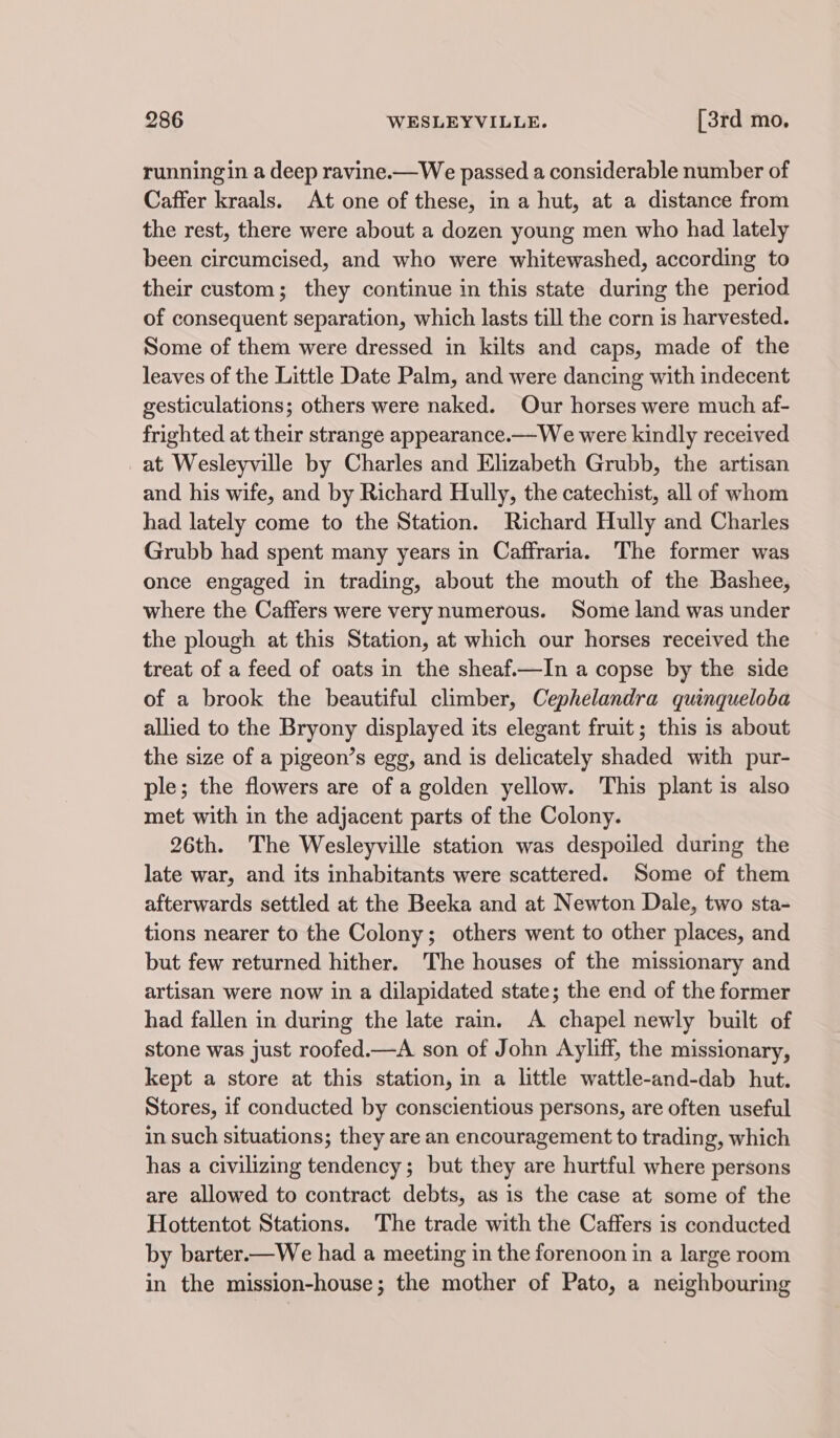 running in a deep ravine.—We passed a considerable number of Caffer kraals. At one of these, in a hut, at a distance from the rest, there were about a dozen young men who had lately been circumcised, and who were whitewashed, according to their custom; they continue in this state during the period of consequent separation, which lasts till the corn is harvested. Some of them were dressed in kilts and caps, made of the leaves of the Little Date Palm, and were dancing with indecent gesticulations; others were naked. Our horses were much af- frighted at their strange appearance.—We were kindly received at Wesleyville by Charles and Elizabeth Grubb, the artisan and his wife, and by Richard Hully, the catechist, all of whom had lately come to the Station. Richard Hully and Charles Grubb had spent many years in Caffraria. The former was once engaged in trading, about the mouth of the Bashee, where the Caffers were very numerous. Some land was under the plough at this Station, at which our horses received the treat of a feed of oats in the sheaf.—In a copse by the side of a brook the beautiful climber, Cephelandra quinqueloba allied to the Bryony displayed its elegant fruit; this is about the size of a pigeon’s egg, and is delicately shaded with pur- ple; the flowers are of a golden yellow. This plant is also met with in the adjacent parts of the Colony. 26th. The Wesleyville station was despoiled during the late war, and its inhabitants were scattered. Some of them afterwards settled at the Beeka and at Newton Dale, two sta- tions nearer to the Colony; others went to other places, and but few returned hither. The houses of the missionary and artisan were now in a dilapidated state; the end of the former had fallen in during the late rain. A chapel newly built of stone was just roofed.—A son of John Ayliff, the missionary, kept a store at this station, in a little wattle-and-dab hut. Stores, if conducted by conscientious persons, are often useful in such situations; they are an encouragement to trading, which has a civilizing tendency; but they are hurtful where persons are allowed to contract debts, as is the case at some of the Hottentot Stations. The trade with the Caffers is conducted by barter.—We had a meeting in the forenoon in a large room in the mission-house; the mother of Pato, a neighbouring