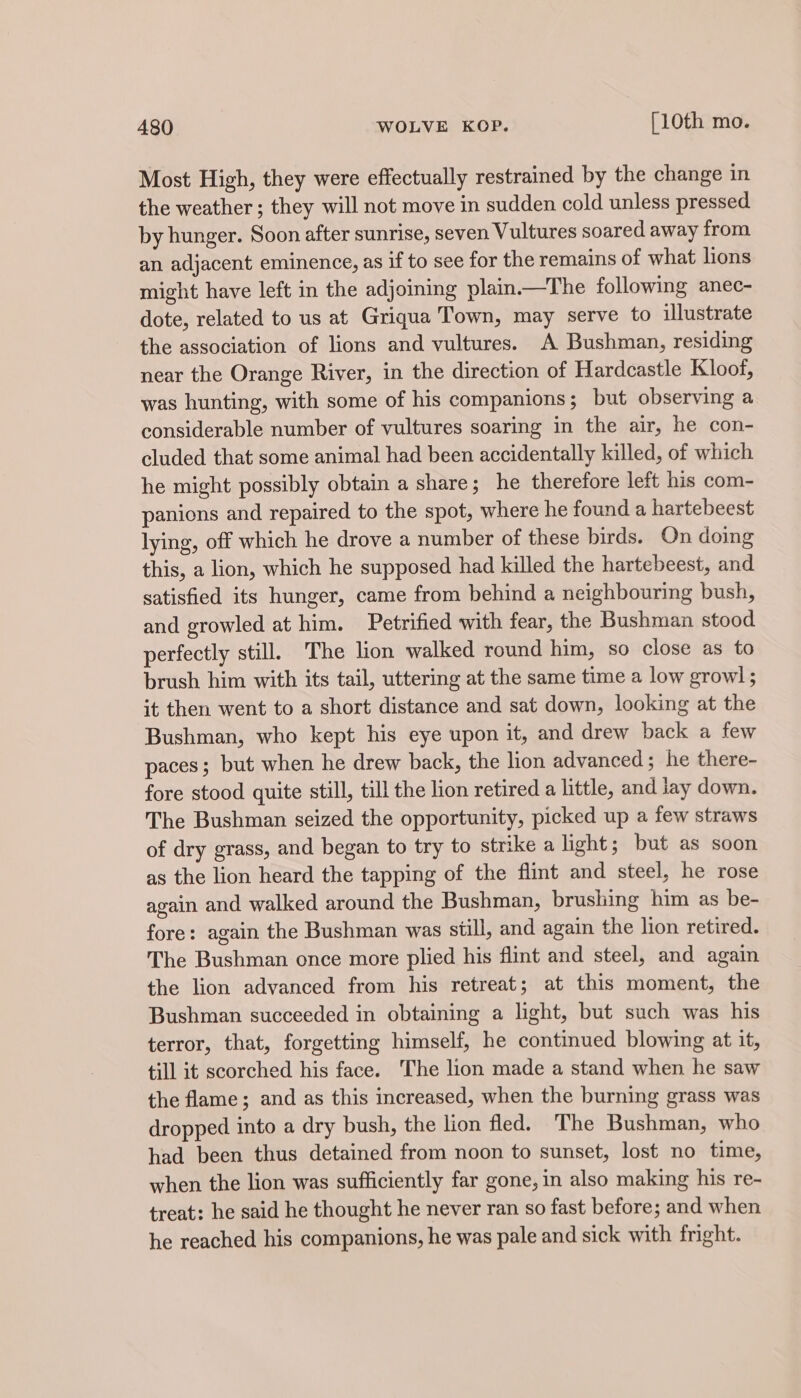 Most High, they were effectually restrained by the change in the weather ; they will not move in sudden cold unless pressed by hunger. Soon after sunrise, seven Vultures soared away from an adjacent eminence, as if to see for the remains of what lions might have left in the adjoining plain.—The following anec- dote, related to us at Griqua Town, may serve to illustrate the association of lions and vultures. A Bushman, residing near the Orange River, in the direction of Hardcastle Kloof, was hunting, with some of his companions; but observing a considerable number of vultures soaring in the air, he con- cluded that some animal had been accidentally killed, of which he might possibly obtain a share; he therefore left his com- panions and repaired to the spot, where he found a hartebeest lying, off which he drove a number of these birds. On doing this, a lion, which he supposed had killed the hartebeest, and satisfied its hunger, came from behind a neighbouring bush, and growled at him. Petrified with fear, the Bushman stood perfectly still. The lon walked round him, so close as to brush him with its tail, uttering at the same time a low growl; it then went to a short distance and sat down, looking at the Bushman, who kept his eye upon it, and drew back a few paces; but when he drew back, the lion advanced; he there- fore stood quite still, till the lion retired a little, and jay down. The Bushman seized the opportunity, picked up a few straws of dry grass, and began to try to strike a light; but as soon as the lion heard the tapping of the flint and steel, he rose again and walked around the Bushman, brushing him as be- fore: again the Bushman was still, and again the lion retired. The Bushman once more plied his flint and steel, and again the lion advanced from his retreat; at this moment, the Bushman succeeded in obtaining a light, but such was his terror, that, forgetting himself, he continued blowing at it, till it scorched his face. The lion made a stand when he saw the flame; and as this increased, when the burning grass was dropped into a dry bush, the lion fled. The Bushman, who had been thus detained from noon to sunset, lost no time, when the lion was sufficiently far gone, in also making his re- treat; he said he thought he never ran so fast before; and when he reached his companions, he was pale and sick with fright.