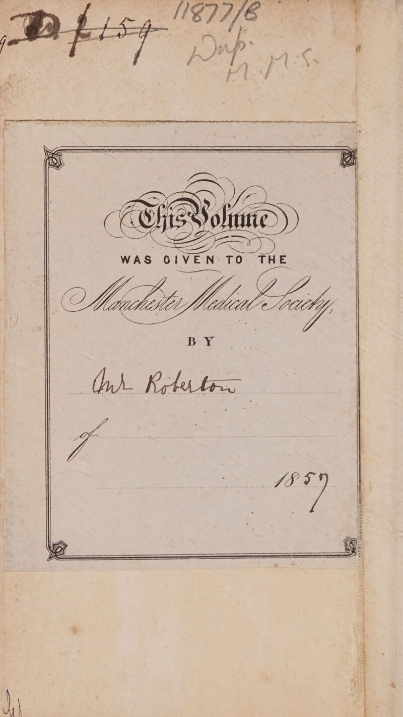 Noe. y CSAS ake AN ’ . ee ee eS a dell . en pare : =