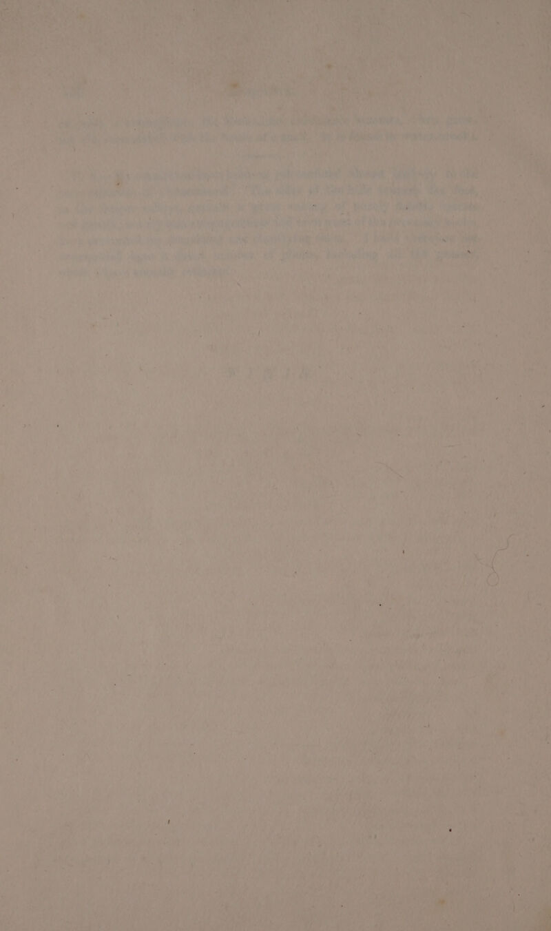 : ‘ iy vi ie bits a Raa SO eye hy oes , te ‘ i &lt;7Ore | anh als ‘ THU tea Aaa ene, ' i ‘ ‘ ree ; ' i | t } ae iy a? 7” a uy Mg fr ’ ? 5 “a eG F af A . ‘ Ret ertig 1. ea a AS rhe ity, “ i, ; 1% ‘ as rf Are i H a i a rr iin e ie 7 Be f os