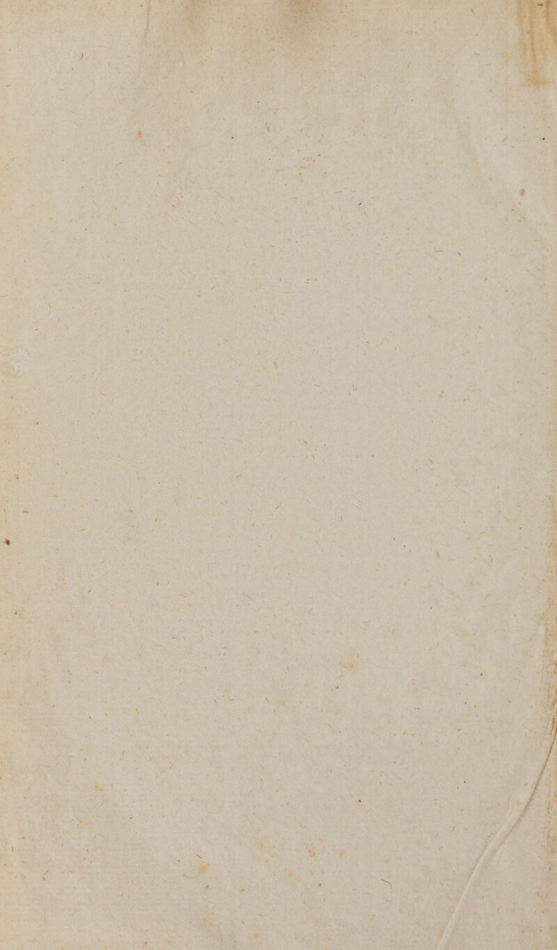 7 Ph i eed cs nat wd Woe