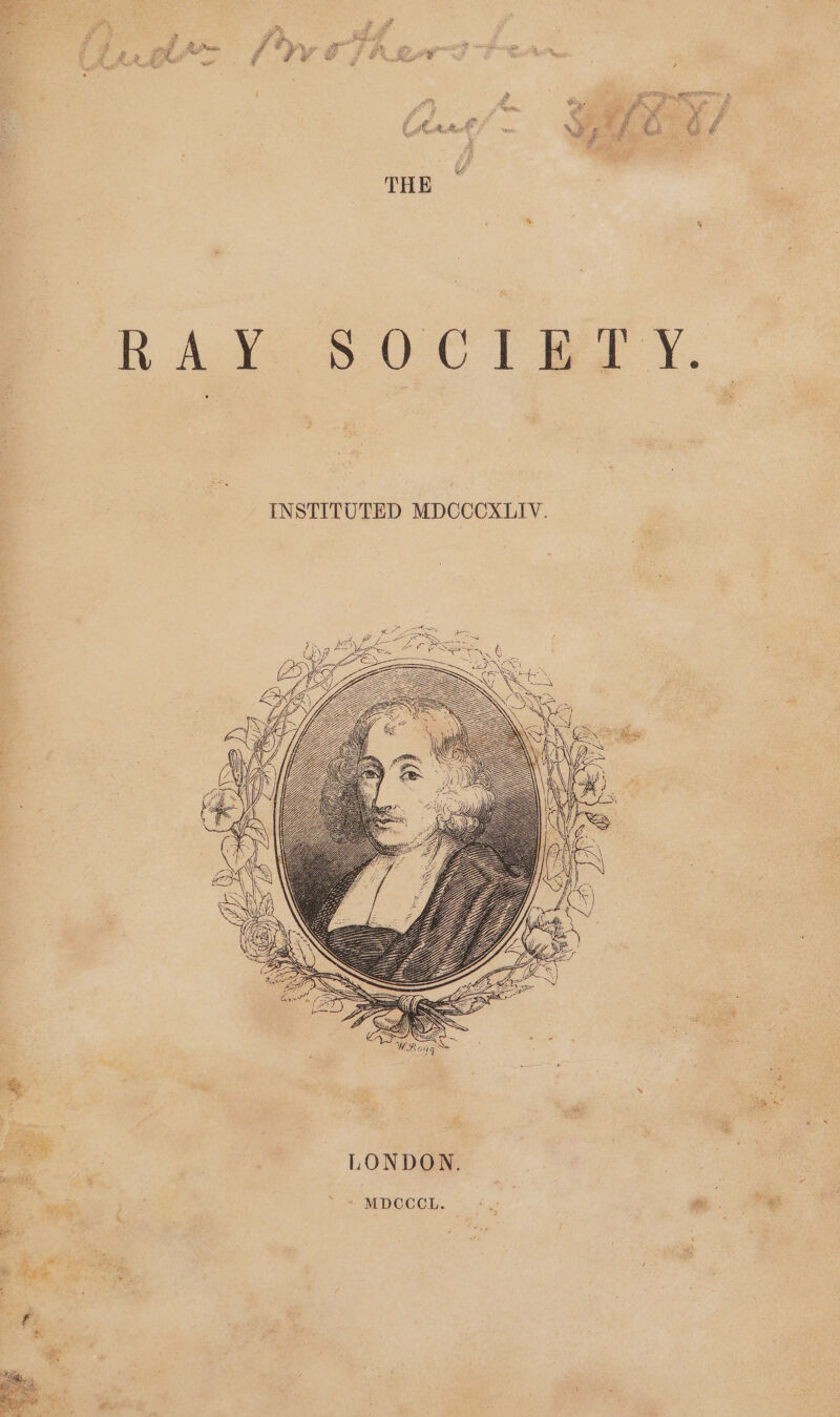 x. a ~~ cd ba ‘ ~ 2 <_< &amp; ae