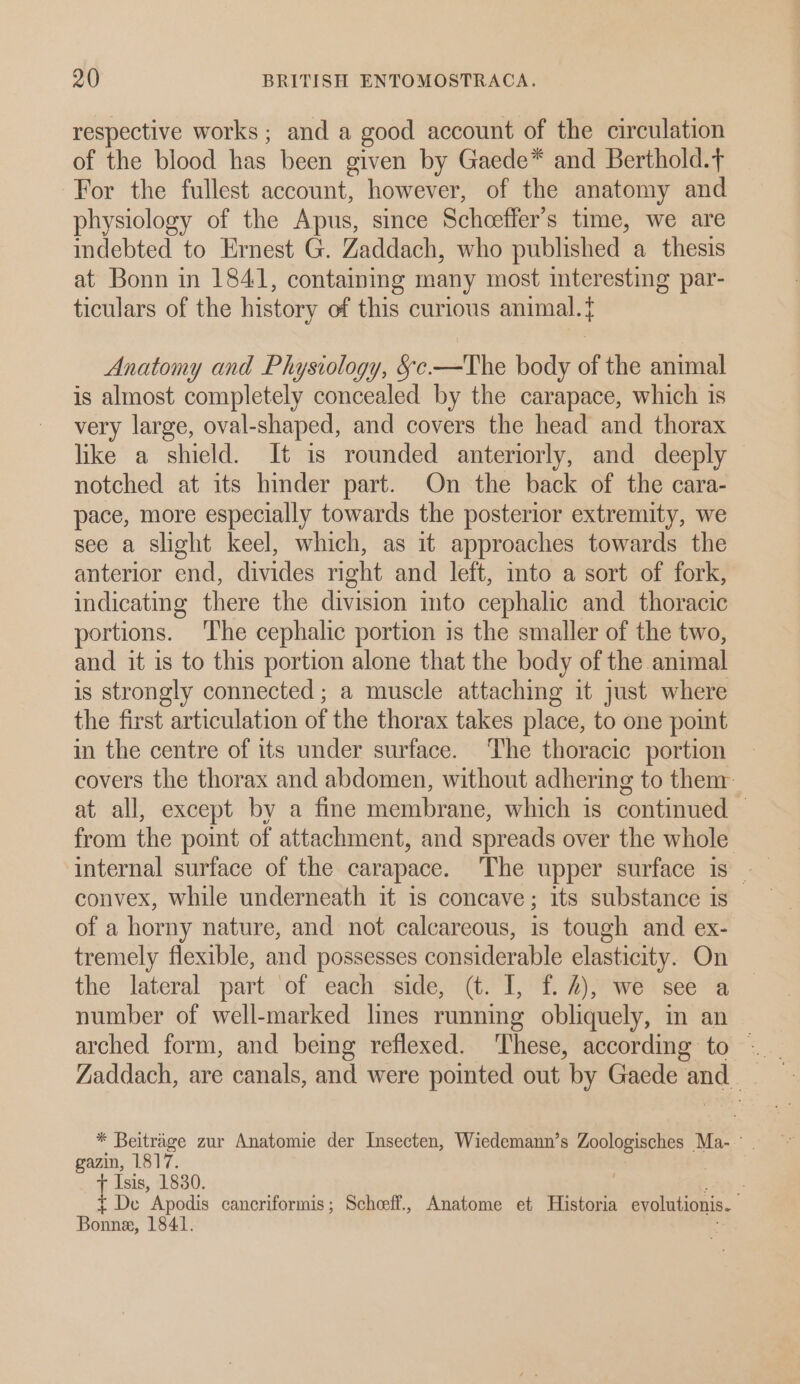 respective works ; and a good account of the circulation of the blood has been given by Gaede* and Berthold. For the fullest account, however, of the anatomy and physiology of the Apus, since Schoeffer’s time, we are indebted to Ernest G. Zaddach, who published a thesis at Bonn in 1841, containg many most interesting par- ticulars of the history of this curious animal. Anatomy and Physiology, §c.—The body of the animal is almost completely concealed by the carapace, which is very large, oval-shaped, and covers the head and thorax like a shield. It is rounded anteriorly, and deeply notched at its hinder part. On the back of the cara- pace, more especially towards the posterior extremity, we see a slight keel, which, as it approaches towards the anterior end, divides right and left, into a sort of fork, indicating there the division ito cephalic and thoracic portions. The cephalic portion is the smaller of the two, and it is to this portion alone that the body of the animal is strongly connected ; a muscle attaching it just where the first articulation of the thorax takes place, to one point in the centre of its under surface. The thoracic portion covers the thorax and abdomen, without adhering to then: at all, except by a fine membrane, which is continued from the point of attachment, and spreads over the whole convex, while underneath it is concave; its substance is of a horny nature, and not calcareous, is tough and ex- tremely flexible, and possesses considerable elasticity. On the lateral part ‘of each side, (t. I, f. 2), we see a number of well-marked lines running obliquely, in an arched form, and being reflexed. These, according to — * Beitrage zur Anatomie der Insecten, Wiedemann’s Zoologisches Ma- ° gazin, 1817. Isis, 1830. De Apodis cancriformis ; Scheeff., Anatome et Historia evolutionis. Bonne, 1841.
