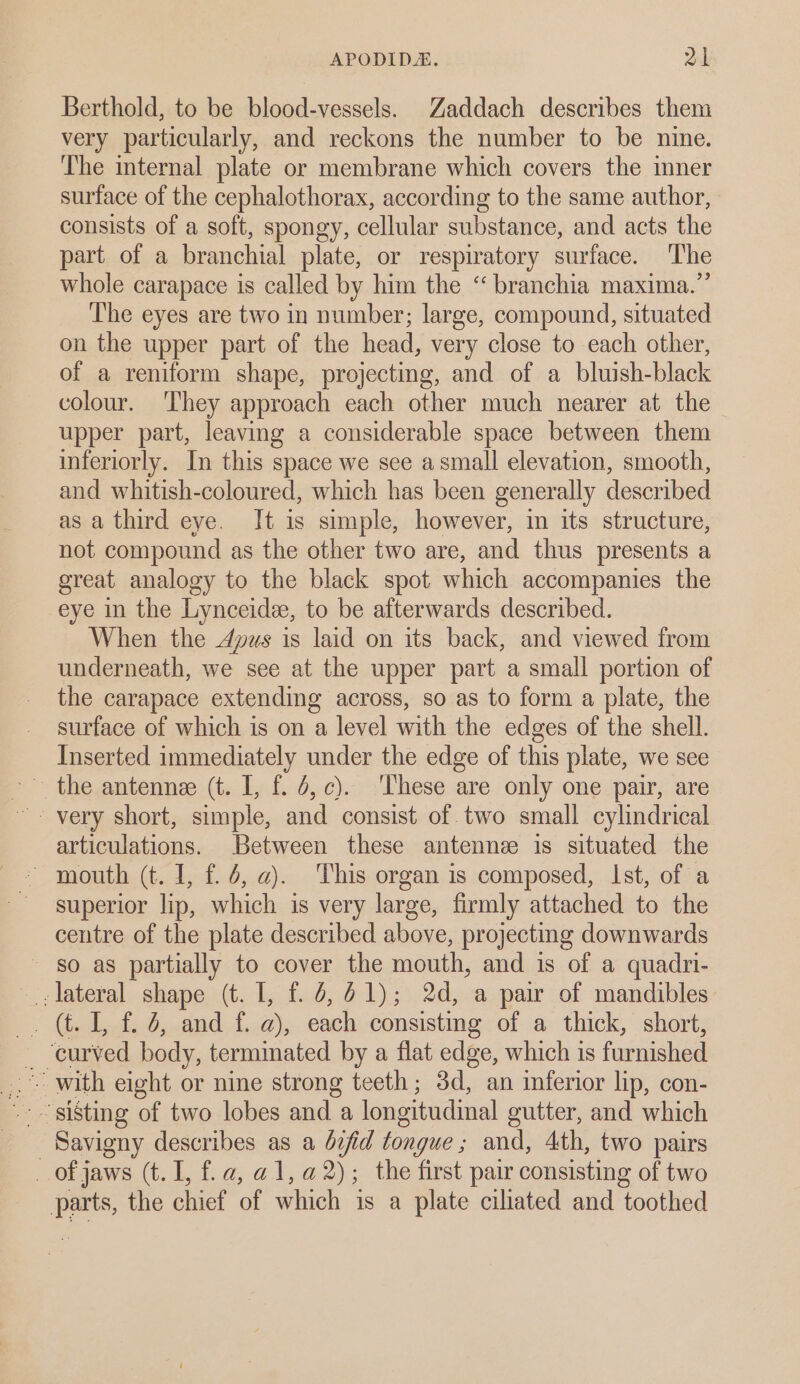 Berthold, to be blood-vessels. Zaddach describes them very particularly, and reckons the number to be nine. The internal plate or membrane which covers the imner surface of the cephalothorax, according to the same author, consists of a soft, spongy, cellular substance, and acts the part of a branchial plate, or respiratory surface. The whole carapace is called by him the “ branchia maxima.”’ The eyes are two in number; large, compound, situated on the upper part of the head, very close to each other, of a reniform shape, projecting, and of a bluish-black colour. ‘They approach each other much nearer at the upper part, leaving a considerable space between them inferiorly. In this space we see asmall elevation, smooth, and whitish-coloured, which has been generally described asa third eye. It is simple, however, in its structure, not compound as the other two are, and thus presents a great analogy to the black spot which accompanies the eye in the Lynceide, to be afterwards described. When the Apus is laid on its back, and viewed from underneath, we see at the upper part a small portion of the carapace extending across, so as to form a plate, the surface of which is on a level with the edges of the shell. Inserted immediately under the edge of this plate, we see ~ the antennee (t. I, f. 4,¢). These are only one pair, are articulations. Between these antenne is situated the ~ mouth (t. I, f. 4, a). This organ is composed, Ist, of a superior lip, which is very large, firmly attached to the centre of the plate described above, projecting downwards ~ so as partially to cover the mouth, and is of a quadri- -.- lateral shape (t. L, f. 6,61); 2d, a pair of mandibles: . (t. I, f. 6, and f. a), each consisting of a thick, short, curved body, terminated by a flat edge, which is furnished _Savigny describes as a dcfid tongue ; and, 4th, two pairs _ of jaws (t. 1, f.a, @1,a@2); the first pair consisting of two parts, the chief of which 1s a plate ciliated and toothed