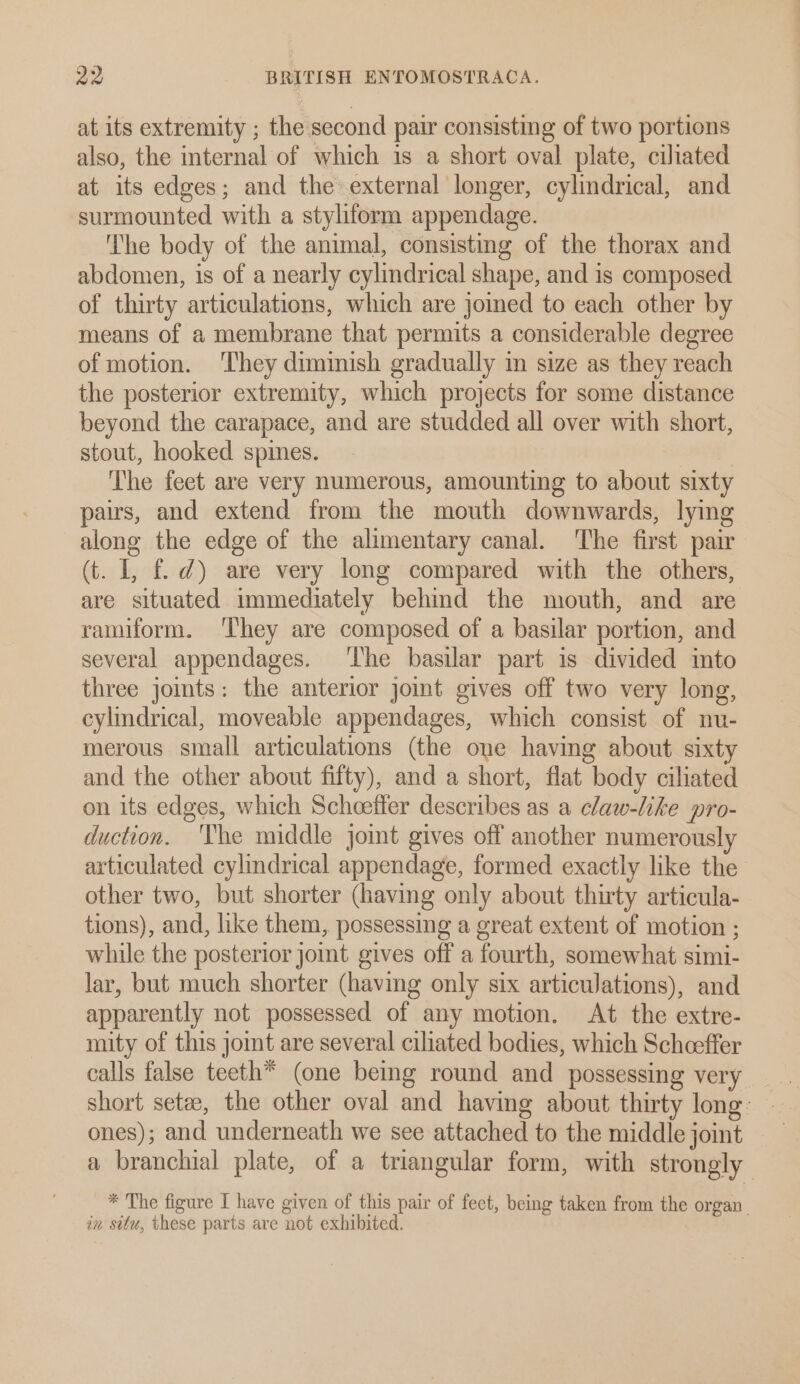at its extremity ; the second pair consisting of two portions also, the internal of which is a short oval plate, ciliated at its edges; and the external longer, cylindrical, and surmounted with a styliform appendage. The body of the animal, consisting of the thorax and abdomen, is of a nearly cylindrical shape, and is composed of thirty articulations, which are joined to each other by means of a membrane that permits a considerable degree of motion. They diminish gradually m size as they reach the posterior extremity, which projects for some distance beyond the carapace, and are studded all over with short, stout, hooked spines. The feet are very numerous, amounting to about sixty pairs, and extend from the mouth downwards, lying along the edge of the alimentary canal. The first pair (t. I, f. d) are very long compared with the others, are situated immediately behind the mouth, and are ramiform. ‘They are composed of a basilar portion, and several appendages. ‘The basilar part is divided into three joints: the anterior joint gives off two very long, cylindrical, moveable appendages, which consist of nu- merous small articulations (the one having about sixty and the other about fifty), and a short, flat body ciliated on its edges, which Scheeffer describes as a claw-like pro- duction. ‘The middle joint gives off another numerousl articulated cylindrical appendage, formed exactly like the other two, but shorter (having only about thirty articula- tions), and, like them, possessing a great extent of motion ; while the posterior joint gives off a fourth, somewhat simi- lar, but much shorter (having only six articwations), and apparently not possessed of any motion. At the extre- mity of this joint are several ciliated bodies, which Schoeffer calls false teeth*™ (one beng round and possessing very ones); and underneath we see attached to the middle joint a branchial plate, of a triangular form, with strongly * The figure I have given of this pair of feet, being taken from the organ. in situ, these parts are not exhibited.