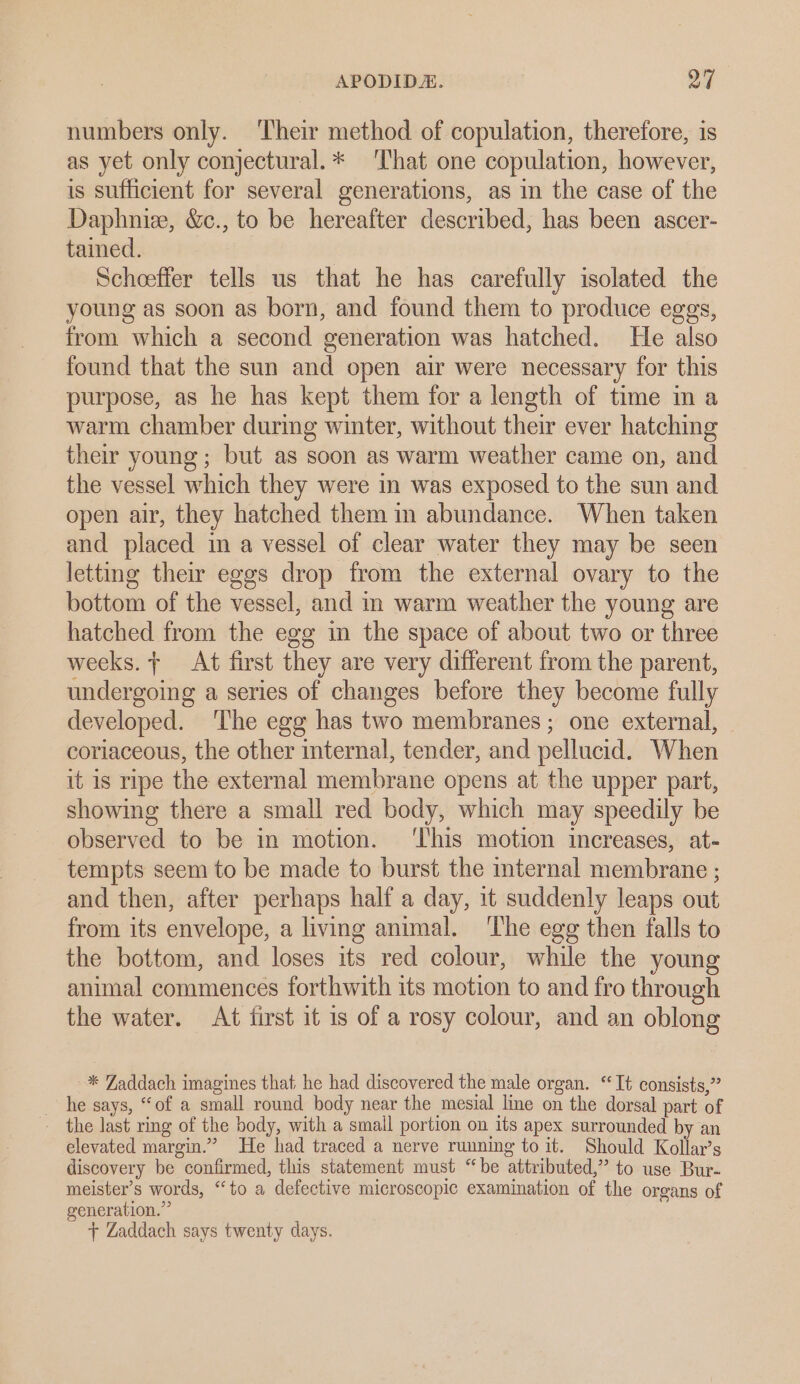 APODIDA. ya | numbers only. ‘Their method of copulation, therefore, is as yet only conjectural. * ‘That one copulation, however, is sufficient for several generations, as in the case of the Daphniz, &amp;c., to be hereafter described, has been ascer- tained. Scheeffer tells us that he has carefully isolated the young as soon as born, and found them to produce eggs, from which a second generation was hatched. He also found that the sun and open air were necessary for this purpose, as he has kept them for a length of time ma warm chamber durimg winter, without their ever hatching their young; but as soon as warm weather came on, and the vessel which they were in was exposed to the sun and open air, they hatched them in abundance. When taken and placed in a vessel of clear water they may be seen letting their eggs drop from the external ovary to the bottom of the vessel, and im warm weather the young are hatched from the egg in the space of about two or three weeks. + At first they are very different from the parent, undergoing a series of changes before they become fully developed. The egg has two membranes; one external, coriaceous, the other internal, tender, and pellucid. When it is ripe the external membrane opens at the upper part, showing there a small red body, which may speedily be observed to be in motion. ‘This motion increases, at- tempts seem to be made to burst the internal membrane ; and then, after perhaps half a day, it suddenly leaps out from its envelope, a living animal. The egg then falls to the bottom, and loses its red colour, while the young animal commences forthwith its motion to and fro through the water. At first it is of a rosy colour, and an oblong * Zaddach imagines that he had discovered the male organ. “It consists,” he says, “of a small round body near the mesial line on the dorsal part of - the last ring of the body, with a small portion on its apex surrounded by an elevated margin.” He had traced a nerve running to it. Should Kollar’s discovery be confirmed, this statement must “be attributed,” to use Bur- meister’s words, “to a defective microscopic examination of the organs of generation.” + Zaddach says twenty days.