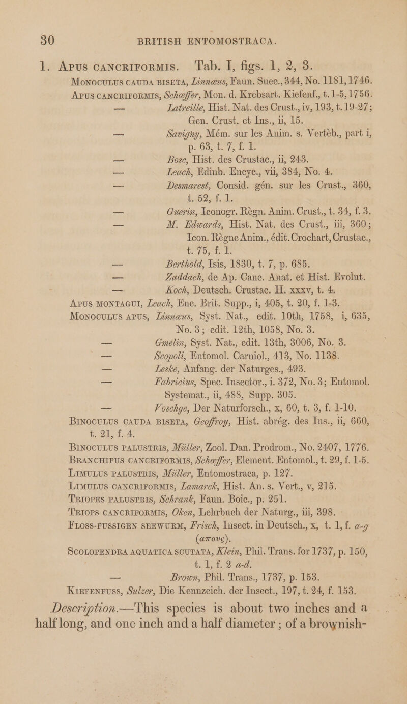 1. Apus cancrirormis. ‘Tab. I, figs. 1, 2, 38. MoNocULUS CAUDA BISETA, Linnaeus, Faun. Suec., 344, No. 1181, 1746. APUS CANCRIFORMIS, Schaffer, Mon. d. Krebsart. Kiefenf., t.1-5,1756. — Latreille, Hist. Nat. des Crust., iv, 193, t. 19-27; Gen. Crust. et Ins., 1, 15. — Savigny, Mém. sur les Anim. s. Verteb., part 1, D. 08,0. 0, bi — Bosc, Hist. des Crustac., 11, 243. — Leach, Edinb. Encye., vii, 384, No. 4. “ Desmarest, Consid. gén. sur les Crust., 360, ee — Guerin, Iconogr. Regn. Anim. Crust., t. 34, f. 3. — M. Edwards, Hist. Nat. des Crust., i, 360; Icon. Régne Anim., édit. Crochart, Crustac., ig espe ae — Berthold, Isis, 1830, t. 7, p. 685. — Zaddach, de Ap. Canc. Anat. et Hist. Evolut. — Koch, Deutsch. Crustac. H. xxxv, t. 4. Apus montaGut, Leach, Ene. Brit. Supp., 1, 405, t. 20, f. 1-3. Monocutus apus, Linneus, Syst. Nat., edit. 10th, 1758, i, 635, No. 8; edit. 12th, 1058, No. 3. a Gmelin, Syst. Nat., edit. 13th, 3006, No. 3. — Scopoli, Entomol. Carniol., 413, No. 11388. — Leske, Anfang. der Naturges., 493. — Fabricius, Spec. Insector., i. 872, No.3; Entomol. Systemat., i, 488, Supp. 305. oe Voschye, Der Naturforsch., x, 60, t. 3, f. 1-10. BINOCULUS CAUDA BISETA, Geoffroy, Hist. abrég. des Ins., i, 660, A) es Re BINOCULUS PALUSTRIS, Willer, Zool. Dan. Prodrom., No. 2407, 1776. BRANCHIPUS CANCRIFORMIS, Scheffer, Element. Entomol, t. 29, f. 1-5. Limutus pauustris, Miller, Entomostraca, p. 127. LIMULUS CANCRIFOoRMIS, Lamarck, Hist. An. s. Vert., v, 215. TRIOPES PALUSTRIS, Schrank, Faun. Boic., p. 251. TRIOPS CANCRIFORMIS, Oken, Lehrbuch der Naturg., 1, 398. FLOSs-FUSSIGEN SEEWURM, Frisch, Insect. in Deutsch., x, t. 1, f. a-g (azrovc). SCOLOPENDRA AQUATICA ScUTATA, Klein, Phil. Trans. for 1737, p. 150, t. At. 2 aed: ~ Brown, Phil. Trans., 1737, p. 153. KisFrenruss, Sulzer, Die Kennzeich. der Insect., 197, t. 24, f. 153. Description.—This species is about two inches and a half long, and one inch and a half diameter ; of a brownish-
