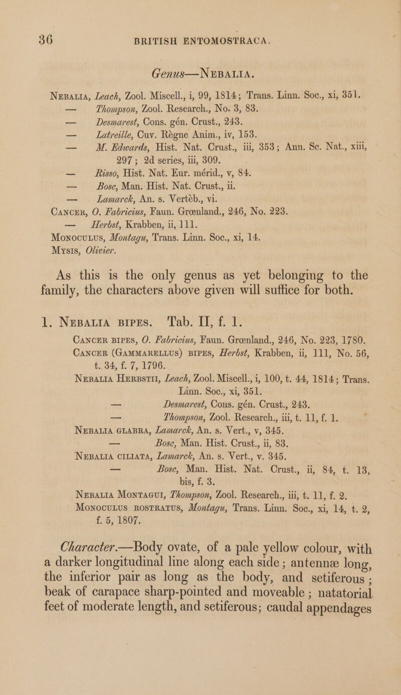 Genus—NEBALIA. Nepauta, Leach, Zool. Miscell., i, 99, 1814; Trans. Linn. Soc., xi, 351. —— Thompson, Zool. Research., No. 3, 83. — Desmarest, Cons. gén. Crust., 243. — Latreille, Cuv. Régne Anim., iv, 153. — WM. Edwards, Hist. Nat. Crust., iti, 353; Ann. Se. Nat., xiii, 297; 2d series, ui, 309. — Risso, Hist. Nat. Kur. mérid., v, 84. — Bosc, Man. Hist. Nat. Crust., 11. — Lamarck, An. s. Vertéb., vi. Cancer, O. Fabricius, Faun. Greenland., 246, No. 228. — Herbst, Krabben, u, 111. Monocutus, Montagu, Trans. Linn. Soc., xi, 14. Mysis, Olivier. As this is the only genus as yet belonging to the family, the characters above given will suffice for both. 1. Nesatia pipes. Tab. II, f. 1. Cancer BIPES, O. Fabricius, Faun. Greenland., 246, No. 223, 1780. CaNcER (GAMMARELLUS) BIPES, Herbst, Krabben, ii, 111, No. 56, t., 34, £. 7, 1796. Nepawia Herssti, Leach, Zool. Miscell., i, 100, t. 44, 1814; Trans. Linn. Soce., xi, 351. — Desmarest, Cous. gén. Crust., 243. —— Thompson, Zool. Research., iii, t. 11, f. 1. NEBALIA GLABRA, Lamarck, An. s. Vert., v, 345. a Bose, Man. Hist. Crust., ii, 83. NEBALIA CILIATA, Lamarck, An. s. Vert., v. 345. — Bosc, Man. Hist. Nat. Crust., ii, 84, t. 13, bis, £3. Nepatia Montacut, Thompson, Zool. Research., iii, t. 11, f. 2. Monocunus rostratus, Montagu, Trans. Linn. Soc., xi, 14, t. 2 f. 5, 1807. Character.—Body ovate, of a pale yellow colour, with a darker longitudinal line along each side ; antennz long, the inferior pair as long as the body, and setiferous ; beak of carapace sharp-pointed and moveable ; natatorial feet of moderate length, and setiferous; caudal appendages