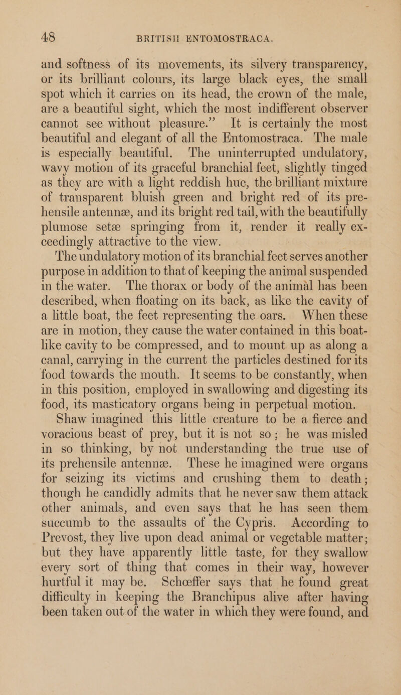 and softness of its movements, its silvery transparency, or its brilliant colours, its large black eyes, the small spot which it carries on its head, the crown of the male, are a beautiful sight, which the most indifferent observer cannot see without pleasure.” It is certamly the most beautiful and elegant of all the Entomostraca. The male is especially beautiful. The uninterrupted undulatory, wavy motion of its graceful branchial feet, slightly tinged as they are with a light reddish hue, the brilliant mixture of transparent bluish green and bright red of its pre- hensile antennee, and its bright red tail, with the beautifully plumose sete springing from it, render it really ex- ceedingly attractive to the view. The undulatory motion of its branchial feet serves another purpose in addition to that of keeping the animal suspended in the water. ‘The thorax or body of the animal has been described, when floating on its back, as like the cavity of a little boat, the feet representing the oars. When these are in motion, they cause the water contained in this boat- like cavity to be compressed, and to mount up as along a canal, carrying in the current the particles destined for its food towards the mouth. It seems to be constantly, when in this position, employed in swallowing and digesting its food, its masticatory organs being in perpetual motion. Shaw imagined this little creature to be a fierce and voracious beast of prey, but it is not so; he was misled in so thinking, by not understanding the true use of its prehensile antenna. ‘These he imagined were organs for seizing its victims and crushing them to death; though he candidly admits that he never saw them attack other animals, and even says that he has seen them succumb to the assaults of the Cypris. According to Prevost, they live upon dead animal or vegetable matter; but they have apparently little taste, for they swallow every sort of thing that comes in their way, however hurtful it may be. Scheeffer says that he found great difficulty in keeping the Branchipus alive after having been taken out of the water im which they were found, and