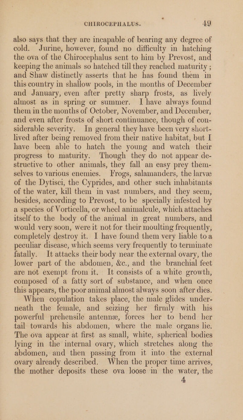 also says that they are incapable of bearing any degree of cold. Jurme, however, found no difficulty in hatching the ova of the Chirocephalus sent to him by Prevost, and keeping the animals so hatched till they reached maturity ; and Shaw distinctly asserts that he has found them in this country in shallow pools, in the months of December and January, even after pretty sharp frosts, as lively almost as in sprmg or summer. I have always found them in the months of October, November, and December, and even after frosts of short continuance, though of con- siderable severity. In general they have been very short- lived after bemg removed from their native habitat, but I have been able to hatch the young and watch their progress to maturity. ‘Though they do not appear de- structive to other animals, they fall an easy prey them- selves to various enemies. Frogs, salamanders, the larve of the Dytisci, the Cyprides, and other such inhabitants of the water, kill them im vast numbers, and they seem, besides, according to Prevost, to be specially infested by a species of Vorticella, or wheel animalcule, which attaches itself to the body of the animal in great numbers, and would very soon, were it not for their moulting frequently, completely destroy it. I have found them very lable toa peculiar disease, which seems very frequently to terminate fatally. It attacks their body near the external ovary, the lower part of the abdomen, We., and the branchial feet are not exempt from it. It consists of a white growth, composed of a fatty sort of substance, and when once this appears, the poor animal almost always soon after dies. When copulation takes place, the male glides under- neath the female, and seizing her firmly with his powerful prehensile antenne, forces her to bend her tail towards his abdomen, where the male organs lie. The ova appear at first as small, white, spherical bodies lying in the internal ovary, which stretches along the abdomen, and then passing from it into the external ovary already described. When the proper time arrives, the mother deposits these ova loose in the water, the 4