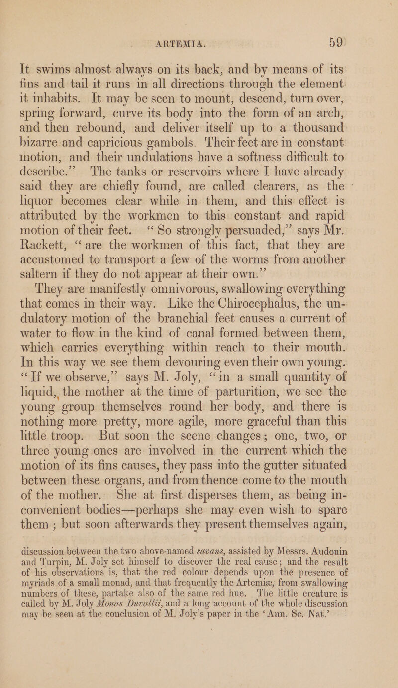It swims almost always on its back, and by means of its fins and tail it runs im all directions through the element it inhabits. It may be seen to mount, descend, turn over, spring forward, curve its body into the form of an arch, and then rebound, and deliver itself up to a thousand bizarre and capricious gambols. Their feet are in constant motion, and their undulations have a softness difficult to describe.” The tanks or reservoirs where I have already said they are chiefly found, are called clearers, as the — liquor becomes clear while in them, and this effect is attributed by the workmen to this constant and rapid motion of their feet. ‘‘ So strongly persuaded,” says Mr. Rackett, ‘‘ are the workmen of this fact, that they are accustomed to transport a few of the worms from another saltern if they do not appear at their own.” They are manifestly omnivorous, swallowing everything that comes in their way. Like the Chirocephalus, the un- dulatory motion of the branchial feet causes a current of water to flow in the kind of canal formed between them, which carries everything within reach to their mouth. In this way we see them devouring even their own young. “Tf we observe,” says M. Joly, “im a small quantity of liquid, the mother at the time of parturition, we see the young group themselves round her body, and there is nothing more pretty, more agile, more graceful than this little troop. But soon the scene changes; one, two, or three young ones are involved in the current which the motion of its fins causes, they pass into the gutter situated between these organs, and from thence come to the mouth of the mother. She at first disperses them, as bemg in- convenient bodies—perhaps she may even wish to spare them ; but soon afterwards they present themselves again, discussion between the two above-named savans, assisted by Messrs. Audouin and Turpin, M. Joly set himself to discover the real cause; and the result of his observations is, that the red colour depends upon the presence of myriads of a small monad, and that frequently the Artemic, from swallowing numbers of these, partake also of the same red hue. The little creature is called by M. Joly Monas Duvallit, and a long account of the whole discussion may be seen at the conclusion of M. Joly’s paper in the ‘Ann. Se. Nat.’
