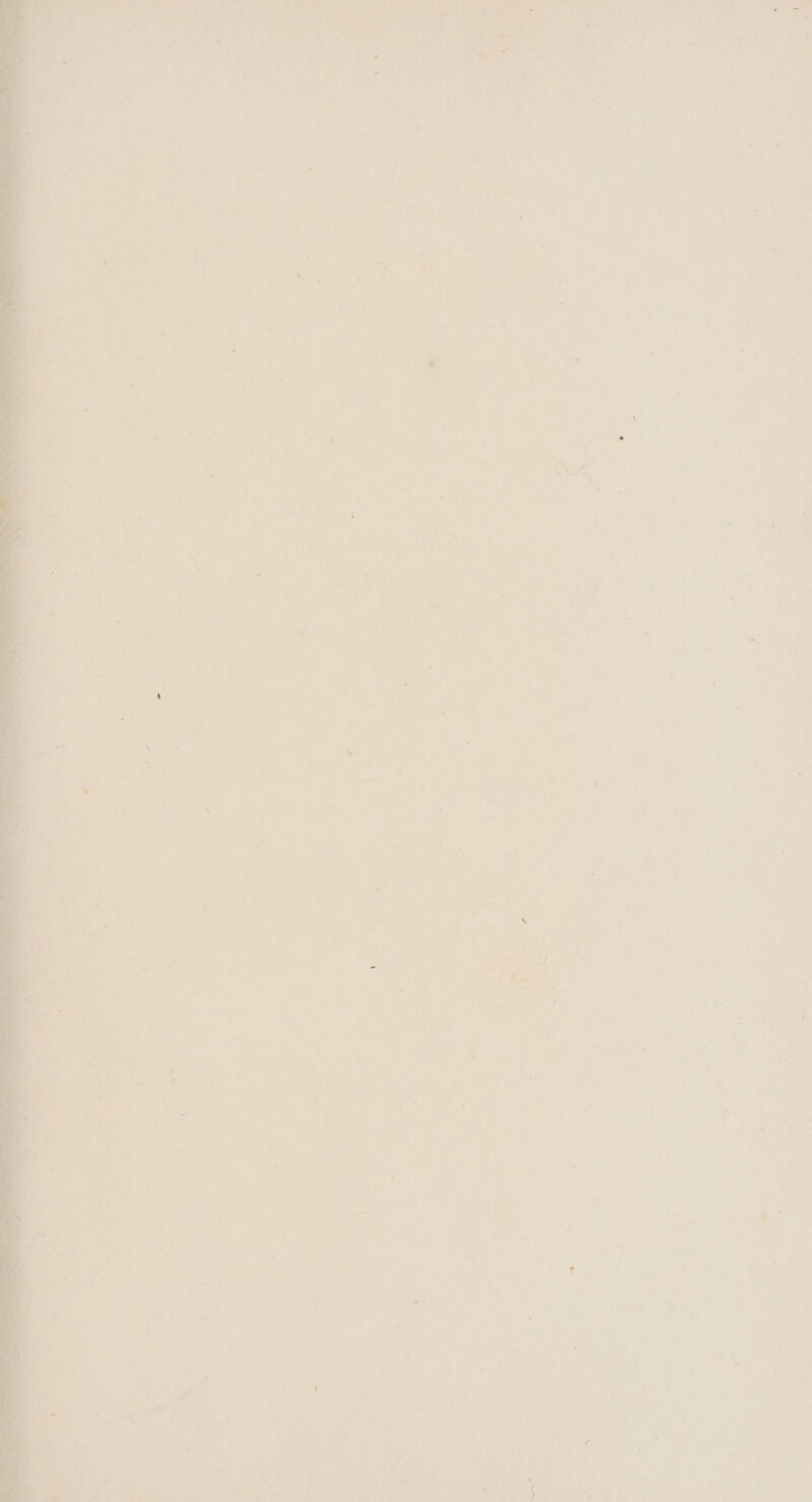 Ls Ll } hie Ee 7 ad 3 5 re En ge PS A e \ = N ” ' 8 : , , ‘ : ' 4 4 ï A ni : ‘ > y ” ë « ’ f * ie Ee be: ä - 5 N ' N 1 He h 5 Bes ik hd KS ‚ fi, el « - 5 hen a e d - Ee r B s, . _ € : d e . Ed ef . . hd E ha ' ° = k KN. ee Ü . f N a ‘ d 3 à rs E x ’ di nj hei É je ' El fl 5 a ‘ / N e 2 ‚ - b\ ' kh „ ae: . E kj K , . pr ï 1 ï Í B 4 - K, E