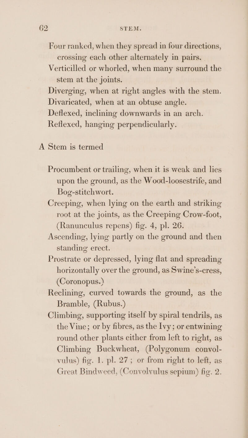 Four ranked, when they spread in four directions, crossing each other alternately in pairs. Verticilled or whorled, when many surround the stem at the joints. Diverging, when at right angles with the stem. Divaricated, when at an obtuse angle. Deflexed, inclining downwards in an arch. Reflexed, hanging perpendicularly. A Stem is termed Procumbent or trailing, when it is weak and lies upon the ground, as the Wood-loosestrife, and Bog-stitchwort. Creeping, when lying on the earth and striking root at the joints, as the Creeping Crow-foot, (Ranunculus repens) fig. 4, pl. 26. Ascending, lying partly on the ground and then standing erect. Prostrate or depressed, lying flat and spreading horizontally over the ground, as Swine’s-cress, (Coronopus.) Reclining, curved towards the ground, as the Bramble, (Rubus.) Climbing, supporting itself by spiral tendrils, as the Vine; or by fibres, as the Ivy; or entwining round other plants either from left to right, as Climbing Buckwheat, (Polygonum convol- vulus) fig. 1. pl. 27; or from right to left, as Great Bindweed, (Convolyulus sepium) fig. 2.