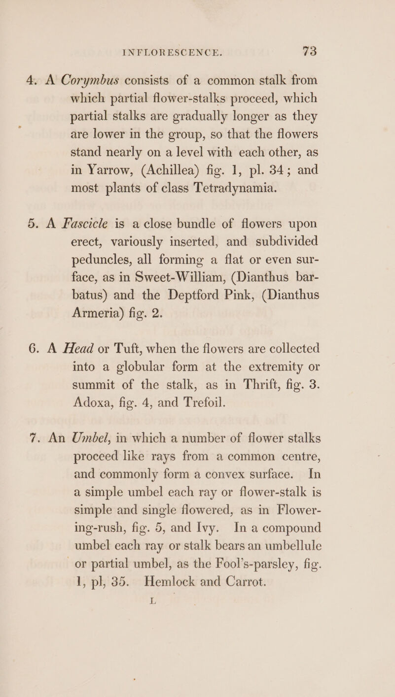 4, A Corymbus consists of a common stalk from which partial flower-stalks proceed, which partial stalks are gradually longer as they are lower in the group, so that the flowers stand nearly on a level with each other, as in Yarrow, (Achillea) fig. 1, pl. 34; and most plants of class Tetradynamia. 5. A Fascicle is a close bundle of flowers upon erect, variously inserted, and subdivided peduncles, all forming a flat or even sur- face, as in Sweet-William, (Dianthus bar- batus) and the Deptford Pink, (Dianthus Armeria) fig. 2. 6G. A Head or Tuft, when the flowers are collected into a globular form at the extremity or summit of the stalk, as in Thrift, fig. 3. Adoxa, fig. 4, and Trefoil. 7. An Umbel, in which a number of flower stalks proceed like rays from a common centre, and commonly form a convex surface. In a simple umbel each ray or flower-stalk is simple and single flowered, as in Flower- ing-rush, fig. 5, and Ivy. In a compound umbel each ray or stalk bears an umbellule or partial umbel, as the Fool’s-parsley, fig. 1, pl, 35. Hemlock and Carrot. L