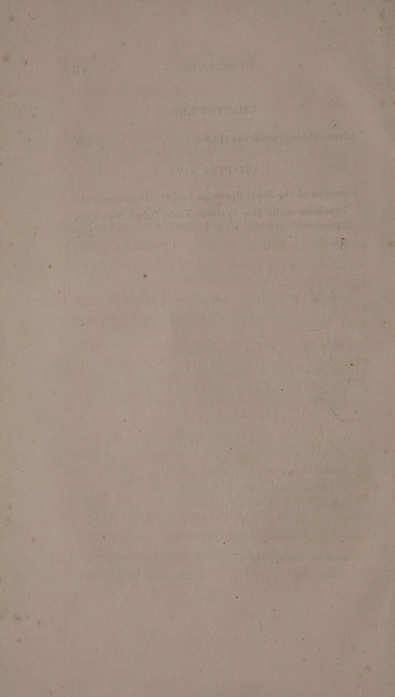 eas ST ie r i al oa ae ue AVY Peale yey) 2 . he a PON Ln LS ! CaCl eietag | steal! Se PORTO Seaft W haere ee Ty DAE Dan! 2 yom