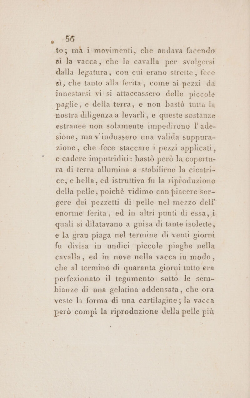 to; mà i movimenti, che andava facendo sì la vacca, che la cavalla per svolgersi dalla legatura, con cui erano strette, fece sì, che tanto alla ferita, come ai pezzi da innestarsi vi: si attaccassero delle piccole | paglie, e della terra, e non bastò tutta la nostra diligenza a levarli, e queste sostanze estranee non solamente impedirono | ade- sione, ma vindussero una valida suppura- zione, che fece staccare i pezzi applicati, e cadere imputriditi: bastò però la copertu- ra di terra allumina a stabilifne la cicatri- ce, e bella, ed istruttiva fu la riproduzione della pelle; poichè vidimo con piacere sor- gere dei pezzetti di pelle nel mezzo dell” enorme’ ferita, ed in altri punti di essa, i quali sì dilatavano a guisa di tante isolette, e la gran piaga nel termine di venti giorni fu divisa in undici piccole piaghe nella cavalla, ed in nove nella vacca in modo, che al termine di quaranta giorni tutto era perfezionato il tegumento sotto le sem- bianze di una gelatina addensata, che ora veste la forma di una cartilagine ; la vacca però compì la riproduzione della pelle più