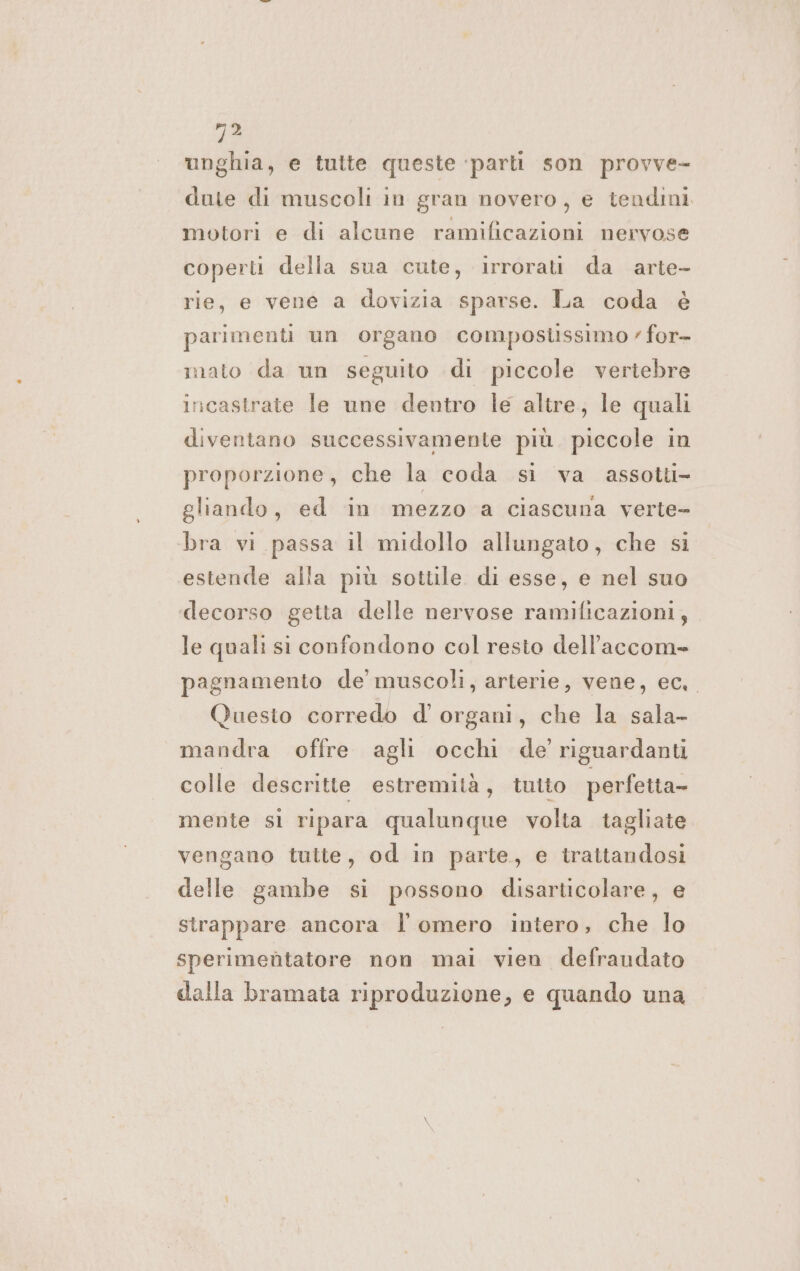 19 unghia, e tutte queste ‘parti son provve- dute di muscoli in gran novero, e tendini motori e di alcune ramificazioni nervose coperti della sua cute, irrorati da arte- rie, e vene a dovizia sparse. La coda è parimenti un organo compostissimo ’ for- mato da un seguito di piccole veriebre incastrate le une dentro le altre, le quali diventano successivamente più. piccole in proporzione, che la coda si va assotti- gliando, ed in mezzo a ciascuna verte- bra vi passa il midollo allungato, che si estende alla più sottile di esse, e nel suo decorso getta delle nervose ramificazioni, le quali sì confondono col resto dell'’accom= pagnamento de muscoli, arterie, vene, ec, Questo corredo d' organi, che la sala- mandra offre agli occhi de’ riguardanti colle descritte estremità, tutto perfetta- mente si ripara qualunque volta tagliate vengano tutte, od in parte, e trattandosi delle gambe si possono disarticolare, e strappare ancora l omero intero, che lo sperimentatore non mai vien defraudato dalla bramata riproduzione, e quando una