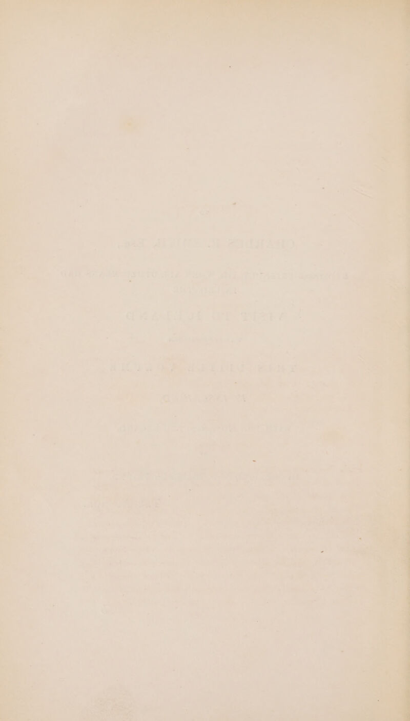 pad ai rit aly. 4%, 5 tT) F Rok - S: 4 : per F Ay .. ~ e vile et rte sol im :