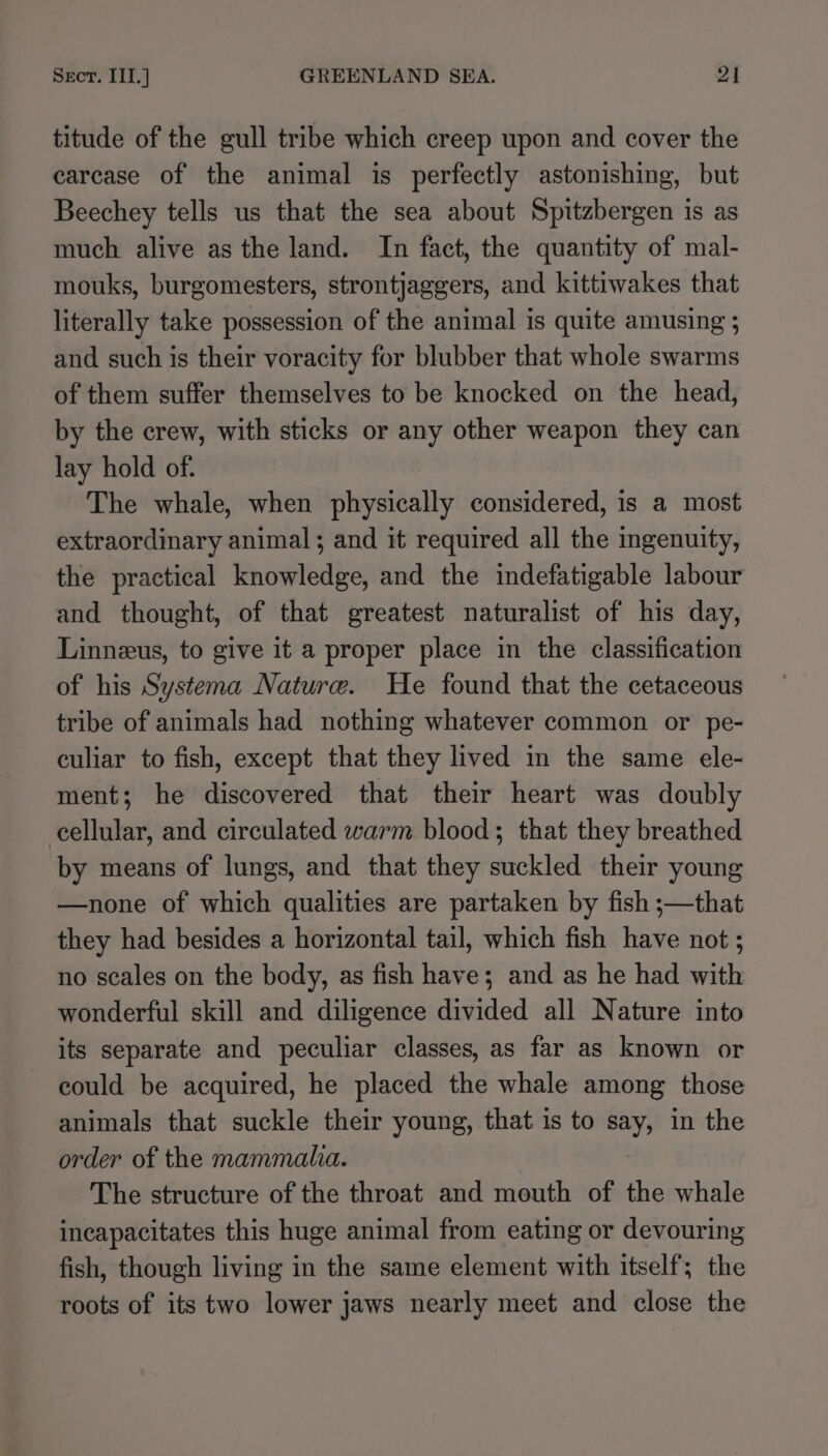 titude of the gull tribe which creep upon and cover the carcase of the animal is perfectly astonishing, but Beechey tells us that the sea about Spitzbergen is as much alive as the land. In fact, the quantity of mal- mouks, burgomesters, strontjaggers, and kittiwakes that literally take possession of the animal is quite amusing ; and such is their voracity for blubber that whole swarms of them suffer themselves to be knocked on the head, by the crew, with sticks or any other weapon they can lay hold of. The whale, when physically considered, is a most extraordinary animal; and it required all the ingenuity, the practical knowledge, and the indefatigable labour and thought, of that greatest naturalist of his day, Linneus, to give it a proper place in the classification of his Systema Nature. He found that the cetaceous tribe of animals had nothing whatever common or pe- culiar to fish, except that they lived in the same ele- ment; he discovered that their heart was doubly cellular, and circulated warm blood; that they breathed by means of lungs, and that they suckled their young —none of which qualities are partaken by fish ;—that they had besides a horizontal tail, which fish have not ; no scales on the body, as fish have; and as he had with wonderful skill and diligence divided all Nature into its separate and peculiar classes, as far as known or could be acquired, he placed the whale among those animals that suckle their young, that is to say, in the order of the mammalia. The structure of the throat and mouth of the whale incapacitates this huge animal from eating or devouring fish, though living in the same element with itself’; the roots of its two lower jaws nearly meet and close the