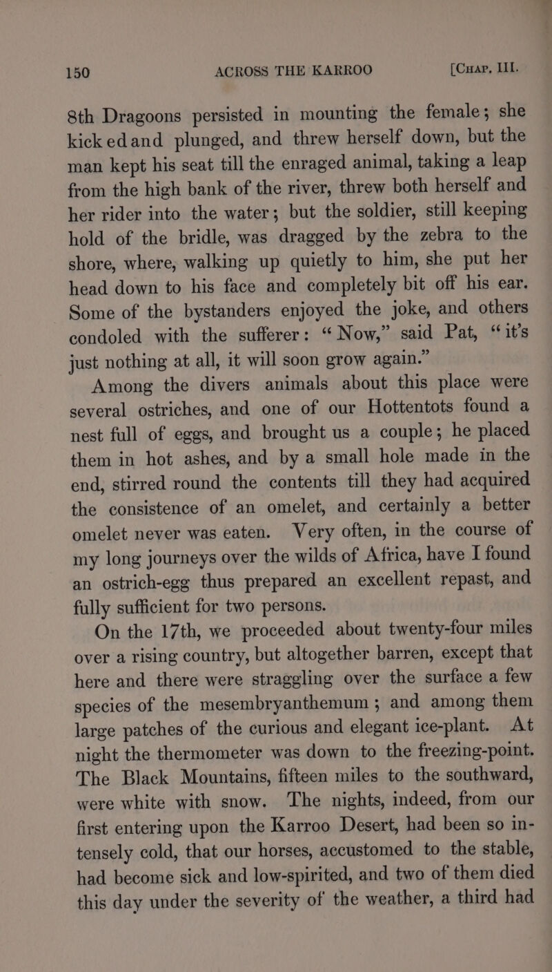 8th Dragoons persisted in mounting the female; she kickedand plunged, and threw herself down, but the man kept his seat till the enraged animal, taking a leap from the high bank of the river, threw both herself and her rider into the water; but the soldier, still keeping hold of the bridle, was dragged by the zebra to the shore, where, walking up quietly to him, she put her head down to his face and completely bit off his ear. Some of the bystanders enjoyed the joke, and others condoled with the sufferer: “ Now,” said Pat, “it’s just nothing at all, it will soon grow again.” Among the divers animals about this place were several ostriches, and one of our Hottentots found a nest full of eggs, and brought us a couple; he placed them in hot ashes, and by a small hole made in the end, stirred round the contents till they had acquired the consistence of an omelet, and certainly a better omelet never was eaten. Very often, in the course of my long journeys over the wilds of Africa, have I found an ostrich-egg thus prepared an excellent repast, and fully sufficient for two persons. On the 17th, we proceeded about twenty-four miles over a rising country, but altogether barren, except that here and there were straggling over the surface a few species of the mesembryanthemum ; and among them large patches of the curious and elegant ice-plant. At night the thermometer was down to the freezing-point. The Black Mountains, fifteen miles to the southward, were white with snow. The nights, indeed, from our first entering upon the Karroo Desert, had been so in- tensely cold, that our horses, accustomed to the stable, had become sick and low-spirited, and two of them died this day under the severity of the weather, a third had