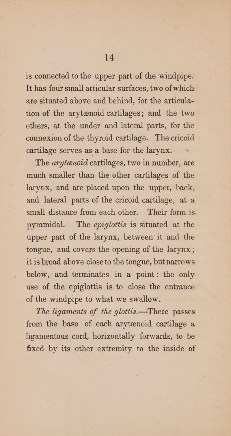 is connected to the upper part of the windpipe. It has four small articular surfaces, two of which are situated above and behind, for the articula- tion of the arytenoid cartilages; and the two others, at the under and lateral parts, for the connexion of the thyroid cartilage. The cricoid cartilage serves as a base for the larynx. The arytenovd cartilages, two in number, are much smaller than the other cartilages of the larynx, and are placed upon the upper, back, and lateral parts of the cricoid cartilage, at a small distance from each other. Their form is. pyramidal. The epzglottis is situated at the upper part of the larynx, between it and the tongue, and covers the opening of the larynx ; it is broad above close to the tongue, butnarrows below, and terminates in a point: the only use of the epiglottis is to close the entrance of the windpipe to what we swallow. The ligaments of the glotits—There passes from the base of each arytenoid cartilage a ligamentous cord, horizontally forwards, to be fixed by its other extremity to the inside of