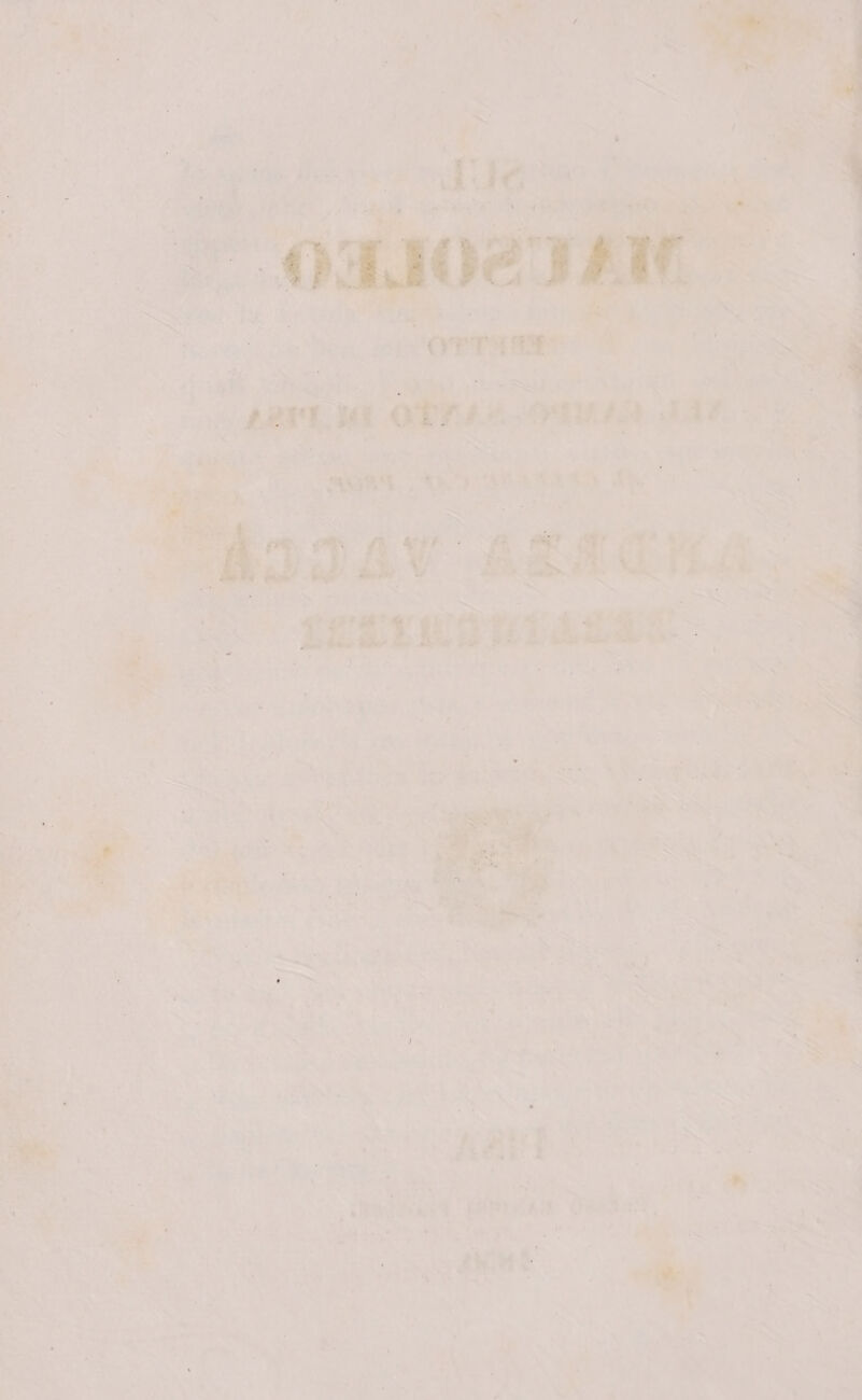 r MIE Le Cn Ara Inlile i| ni Ze x Ci . ) da gen ERI A .d | = È , <tr ngn ES DI 2 x de { pattino 7 VIA TTI . À, rà pig Ana Pe DIC Me, p° #