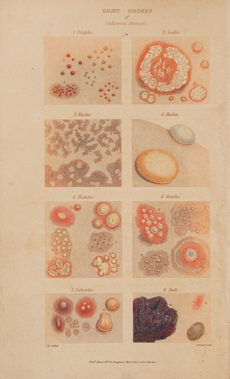 2 re MSCLLIE c q Lantt Ct EIGHT ORDERS of “ns BD, “LES. i 7. tutes 5. Pus _Lubcreles 7 -~ + Lub? June t 1608 ty Longman. Hirst Rees, Orme &amp; Brown.