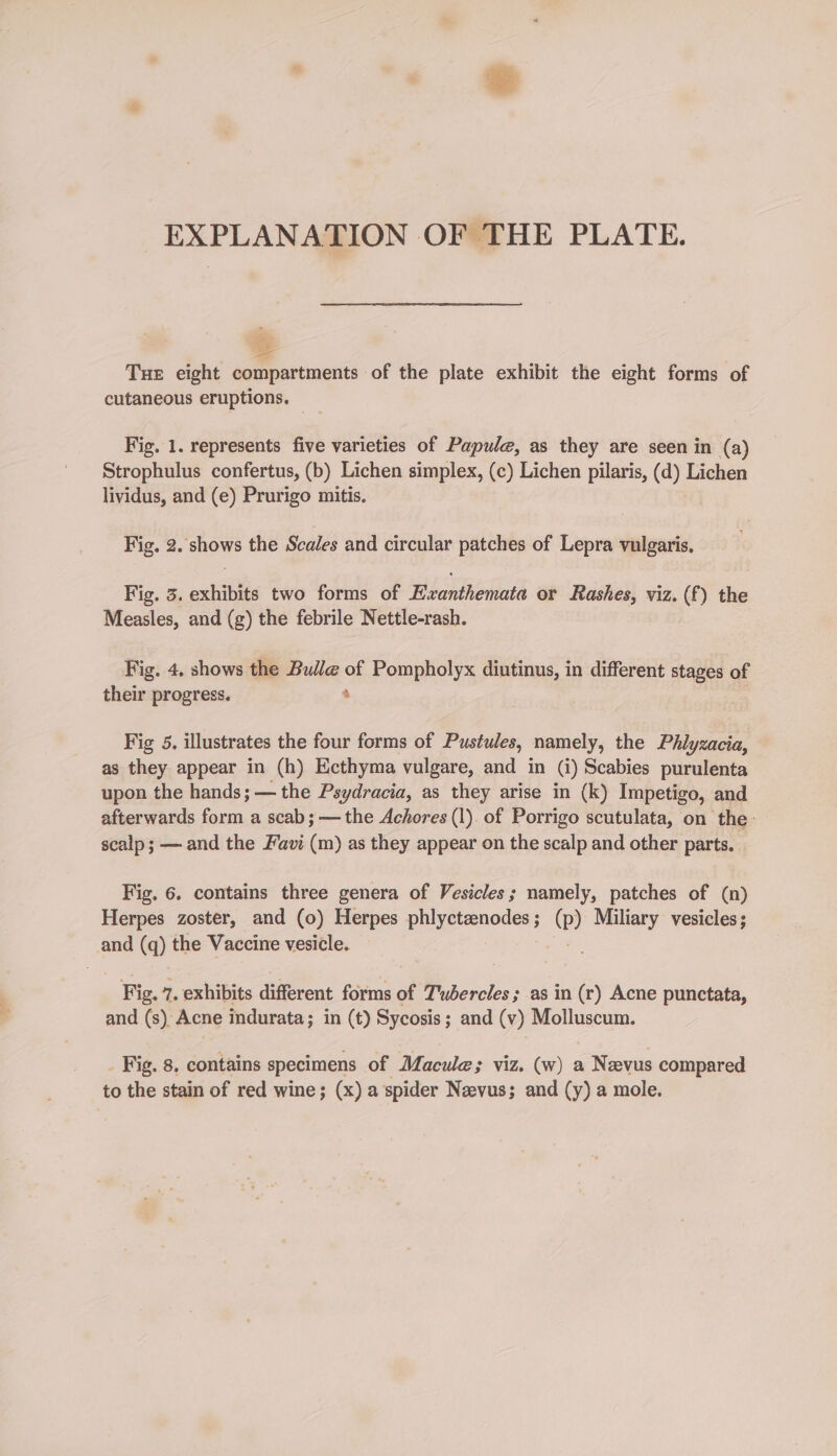 EXPLANATION OF THE PLATE. Tue eight compartments of the plate exhibit the eight forms of cutaneous eruptions. Fig. 1. represents five varieties of Papule, as they are seen in (a) Strophulus confertus, (b) Lichen simplex, (c) Lichen pilaris, (d) Lichen lividus, and (e) Prurigo mitis. Fig, 2. shows the Scales and circular patches of Lepra vulgaris, Fig. 3. exhibits two forms of Hvanthemata or Rashes, viz. (f) the Measles, and (g) the febrile Nettle-rash. Fig. 4. shows the Bulle Sh Pompholyx diutinus, in different stages of their progress. Fig 5. illustrates the four forms of Pustules, namely, the Phlyzacia, as they appear in (h) Ecthyma vulgare, and in Q) Scabies purulenta upon the hands; — the Psydracia, as they arise in (k) Impetigo, and afterwards form a scab;— the Achores (1). of Porrigo scutulata, on the: scalp; — and the Favi (m) as they appear on the scalp and other parts. Fig. 6. contains three genera of Vesicles; namely, patches of (n) Herpes zoster, and (0) Herpes phlyctznodes ; (P) Miliary vesicles; and (q) the Vaccine vesicle. Fig. 7, exhibits different forms of Tubercles ; as in (r) Acne punctata, and (s) Acne indurata; in (t) Sycosis ; and (v) Molluscum. . Fig. 8. contains specimens of Macule; viz. (w) a Nevus compared to the stain of red wine; (x) a spider Naevus; and (y) a mole.