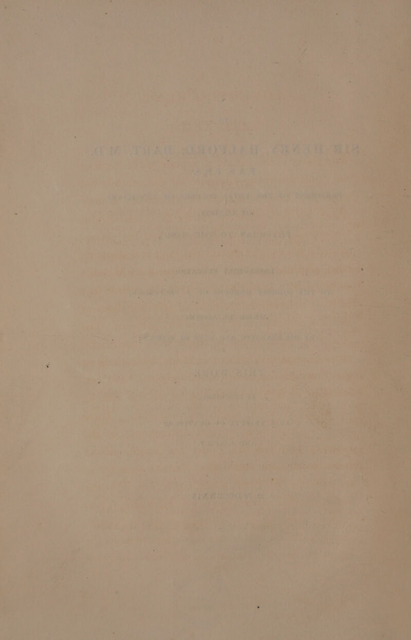= pe Lives ry Bae Pe aes Eeyore — * —* ~~ * tT, ce ie OL hes al  ‘Fs oe » iV, . a 3 ‘“~ ie? + ¢ ‘ E clits 4 24 py re Set aHReZAS ao! Citas +A Ae oi fet Be din .  : ; ee) Oo * vig &amp; 4 q a 5 ¢ ; ae tl se, “ 34 o5% ae } in iw rey  7h ye Ms ad eon . - i ; sia} ue ee A LAS tery rc 4 , oh , tere ' ; » a Pi i. a8 ; aw NS UF ie SEE EE | Sy ? - 4a She f ; ‘ = | cf oe oi, =, , : : ; gt ry * , Saas, “Gb HED SE, 780 IEA Elie La oe . : Ae oe Le te ee ve ph es eae fore ge ioe ED gy y 8 , 8 b A i ‘ f Vs aS Voile tht 5 Beh LaF Sai} pideatge Fe 5 ~ Tf ne ye ; i ,/ ¥ > oe ‘ie , ‘ # » Le 7 4 rab ; bmi. W if pity Les n ee p H , » » é | AGP * ad é ‘ A ; Re F j Sper? taerey . wai 4 2
