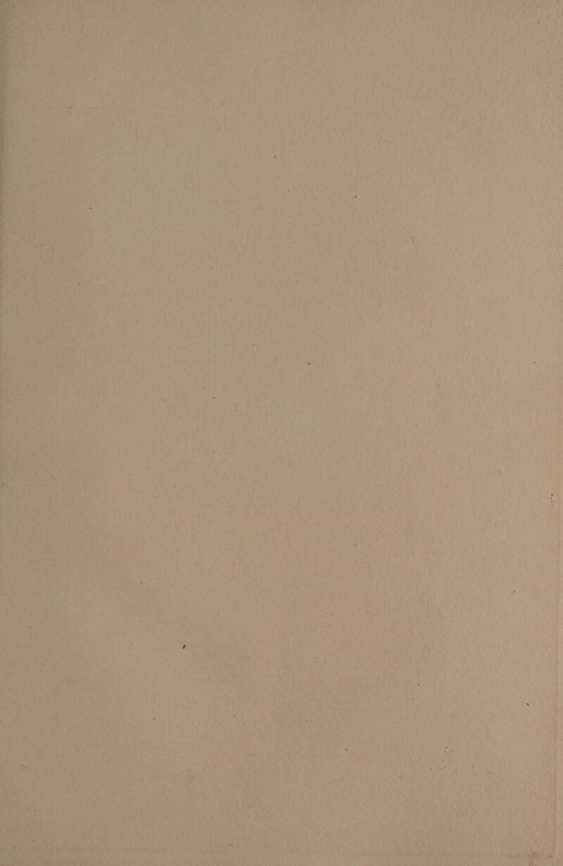 Bia ae ais * we Je : 28 ey (yee Ae aa Be at 2 cg < que a Se ua . tee oj = > 7. <2 pe She ae ANF Reh mtg IA ge Nn ly . - an > ood ne nda ~ ue. Ci aed