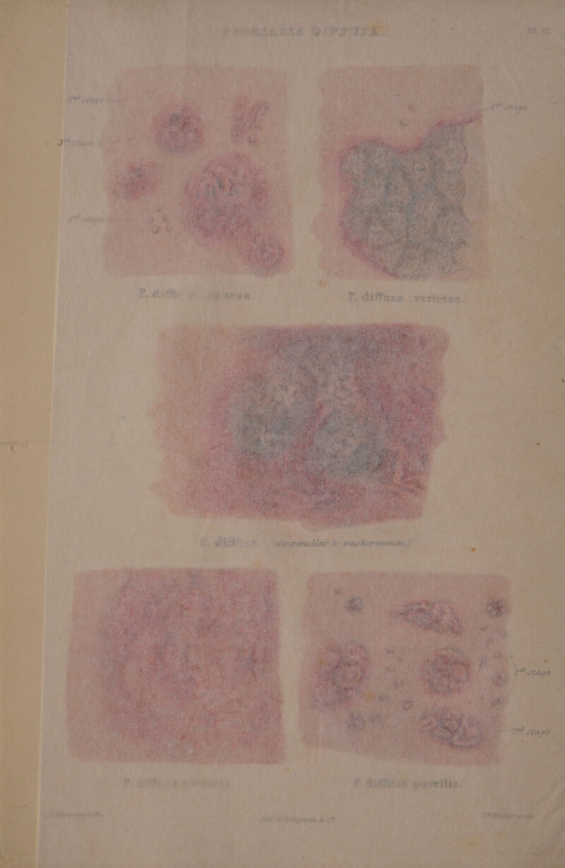 Ot ies iy ; ; uy ans REY ss Ae