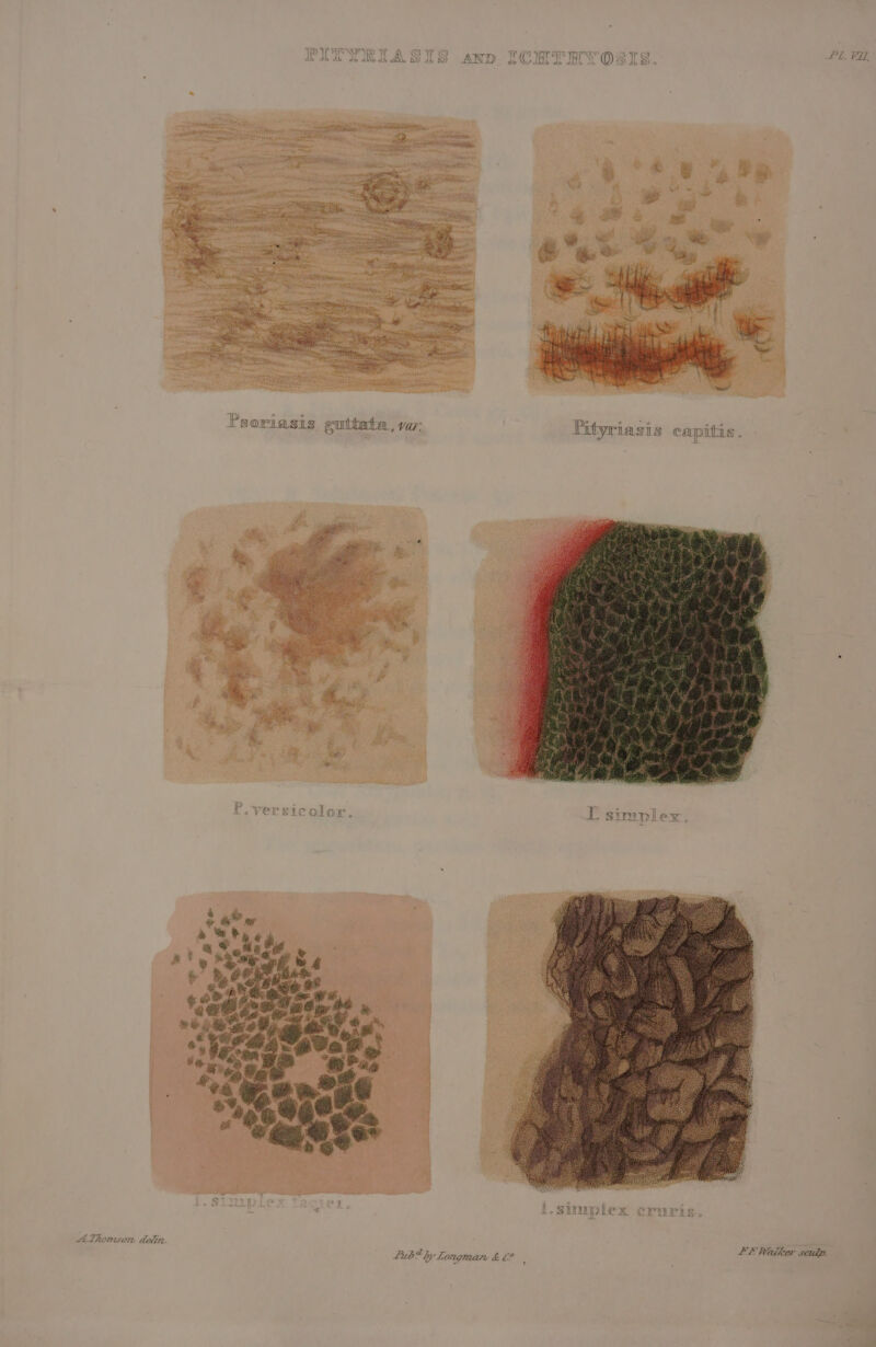 E LeX CrUPLS., A Thomson delin. LE Walther scudp. Bupe 4 ‘Longman &amp; £2