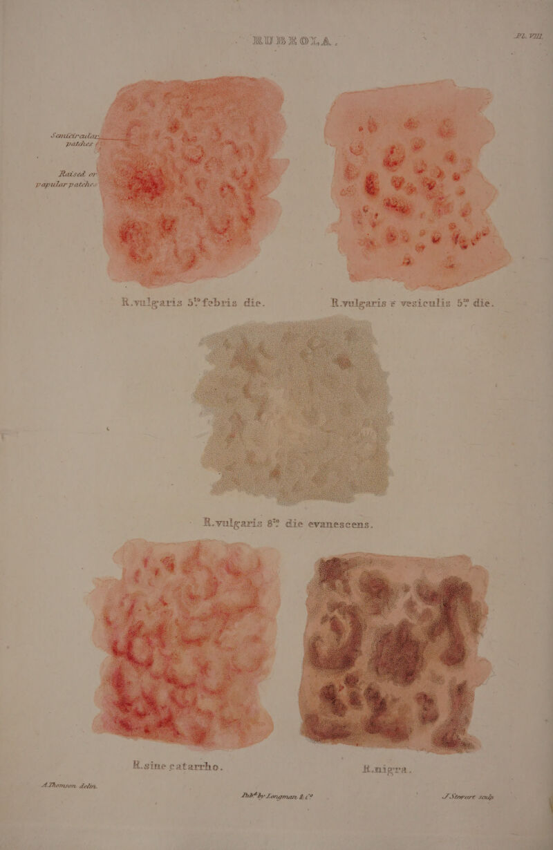 ular patches pap ulis 5” die. arls ¢ VESLC R e. e febris to Iparis 5 aris die evanescens. gt vul R