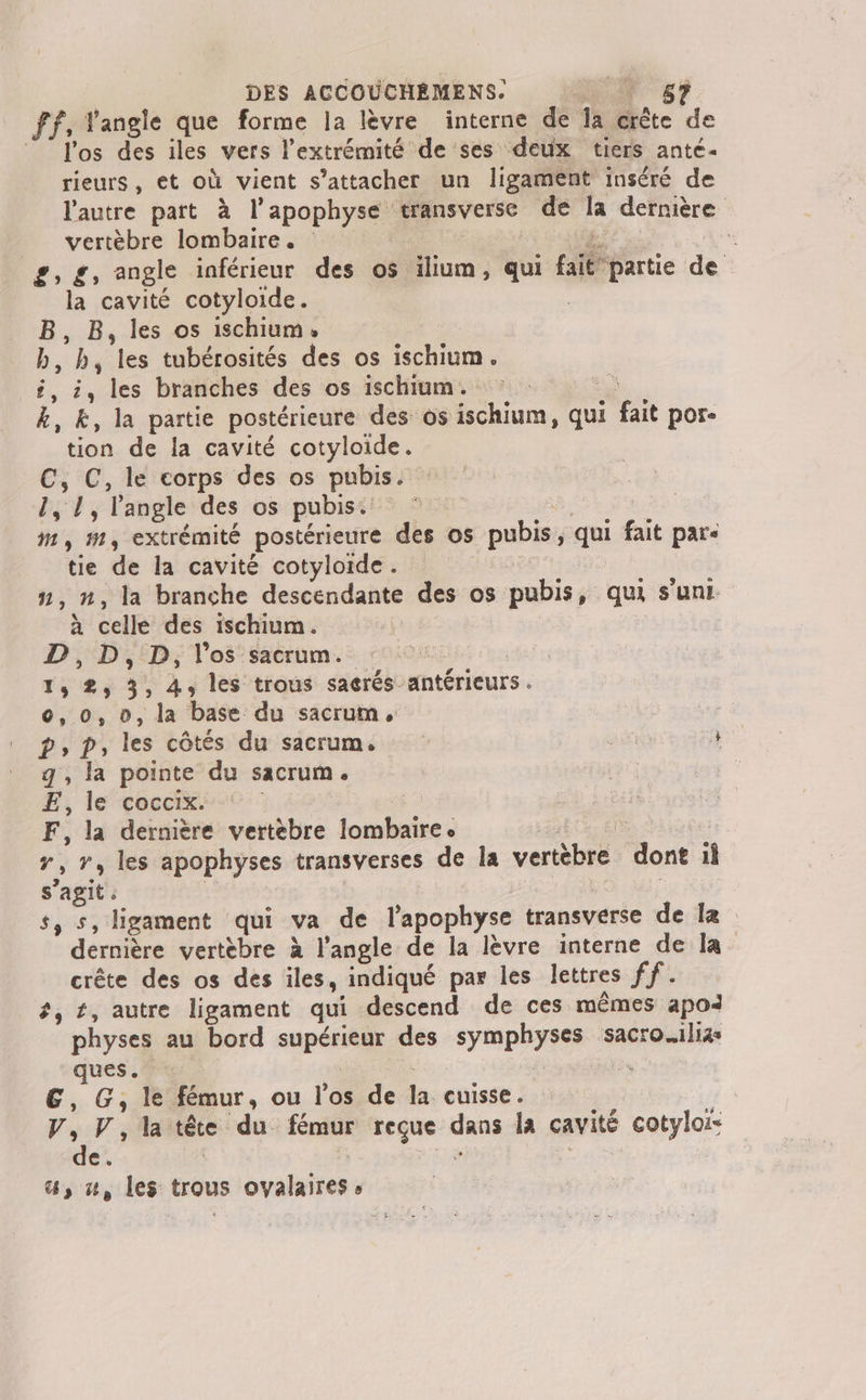 ff, angle que forme la lèvre interne de la crête de © l'os des iles vers l’extrémité de ses deux tiers ante- rieurs, et où vient s'attacher un ligament inséré de l'autre part à l'apophyse transverse de la dernière = vertèbre lombaire. Ÿ #, £, angle inférieur des os illum, qui tbpartie de la cavité cotyloide. | B, B, les os ischium, b, (by ‘es tubérosités des os ischium. i, i, les branches des os ischium. k,k, la partie postérieure des os ou qui Eh pOre tion de la cavité cotyloide. C, C, le corps des os pubis. PET; l'angle des os pubiss © | M1, M, extrémité postérieure des os pubis qui ai pare tie de la cavité cotyloide. 1, #, la branche descendante des os pubis, qui s'uni À celle des ischium. D, D, D, l'os sacrum. 1; 2, 3. A, les trous saerés- antérieurs . 0,0, 0, la base du sacrum, | D, P, les côtés du sacrum. MUUTE 156 g, la pointe du sacrum. | E, le coccix. F, la dernière ventre lombaire &lt; r, r, les apophyses transverses de la vertèbre dont i s’agit. s, s, ligament qui va de lapophyse transverse de la dernière vertèbre à l'angle de la lèvre interne de la crête des os des iles, indiqué par les lettres ff. #, t, autre ligament qui descend de ces mêmes apoi physes au bord cUpÉtASE des db ve ce sacro.li4s ues. 6, G,le fémur, ou l'a de La cuisse . | V, V, la tête du fémur reçue es la cavité cotylois de. | a, u, les trous ovalairess