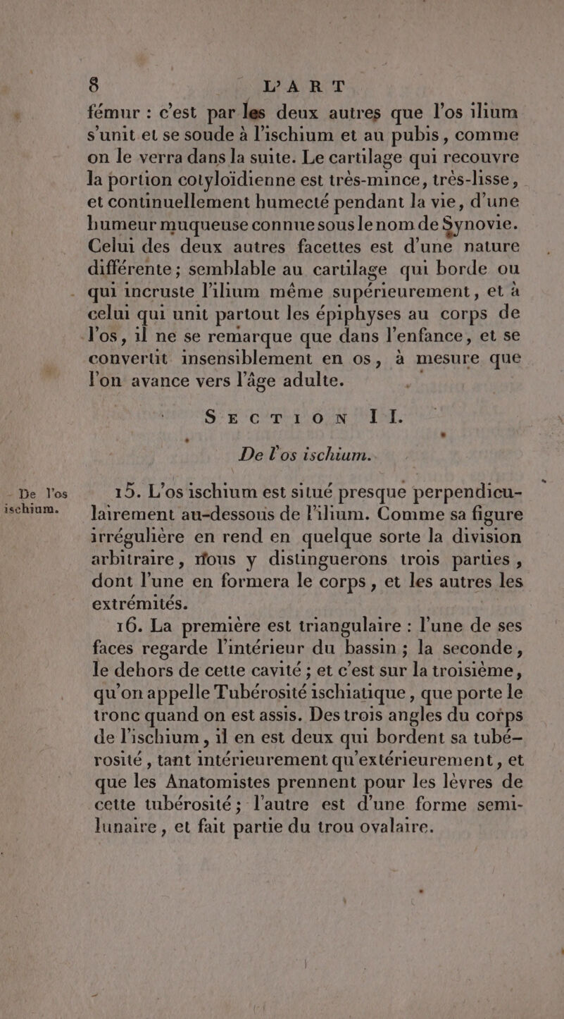 - De l'os ischium. 8 L'ART fémur : c’est par les deux autres que l'os ilium s’unit et se soude à l’ischium et au pubis, comme on le verra dans la suite. Le cartilage qui recouvre la portion cotyloïdienne est très-mince, très-lisse, et continuellement humecté pendant la vie, d'une bumeur muqueuse connue sous le nom de Synovie : Celui des deux autres facettes est d’une nature différente ; semblable au carülage qui borde ou qui incruste l’illum même supérieurement, et à celui qui unit partout les épiphyses au corps de convert insensiblement en os, à mesure que l'on avance vers l’âge adulte. SEcT:I:OonN Il. De l'os ischium. 15. L’os ischium est situé presque perpendicu- lairement au-dessous de lilium. Comme sa figure irréguhère en rend en quelque sorte la division arbitraire, ous y distinguerons trois parties , dont Re en formera le corps , et les autres les extrémités. 16. La première est triangulaire : l’une de ses faces regarde l’intérieur du bassin ; la seconde, le dehors de cette cavité ; et c’est sur la troisième, qu'on appelle Tubérosité “ischiatique , que porte le tronc quand on est assis. Des trois angles du corps de l'ischium , 1l en est deux qui bordent sa tubé- rosité , tant intérieurement qu'extérieurement, et que les Anatomistes prennent pour les lévres de cette tubérosité ; l'autre est d’une forme semi- lunaire , et fait parue du trou ovalaire.