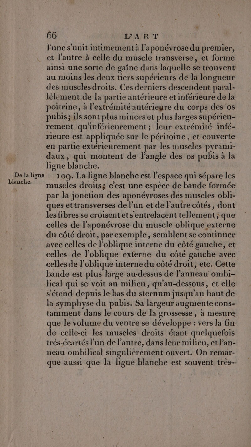 l'une s'unit mtimement à l'aponévrose du premier, et l’autre à celle du muscle transverse, et forme ainsi une sorte de gaîne dans laquelle se trouvent au moins les deux uers supérieurs de la longueur des muscles droits. Ces derniers descendent paral- lèlément de la partie antérieure et inférieure de la poitrine, à l'extrémité antériegre du corps des os pubis ; 1ls sont plus minces et plus larges supérieu- rement qu'inférieurement ; leur extrémité infé- rieure est appliquée sur le péritoine , et couverte en partie extérieurement par les muscles pyrami- daux, qui montent de Pangle des os pubis à la ligne blanche. 109. La ligne blanche est l’espace qui sépare les muscles droits; c'est une espèce de bande formée par la jonction des aponévroses des muscles obli- ques ettransverses de l’un et de l'autre côtés, dont les fibres se croisent ets’entrelacent iclléniènts ; que celles de l’aponévrose du muscle oblique externé du côté droit, parexemple, semblent se continuer avec celles de l’oblique interne du côté gauche, et celles de loblique externe du côté gauche avec celles de l'oblique interne du côté droit, etc. Cette bande est plus large au-dessus de l'anneau ombi- hcal qui se voit au milieu, qu'au-dessous, et elle s'étend depuis le bas du sternum jusqu'au Hit de la symphyse du pubis. Sa largeur augmente cons- tamment dans le cours de la grossesse, à mesure que le volume du ventre se développe : vers la fin de celle-ci les muscles droits étant quelquefois trés-écartés l’un de l’autre, dans leur milieu, et l’an- neau ombilical singulièrement ouvert. On remar- que aussi que la ligne blanche est souvent très-