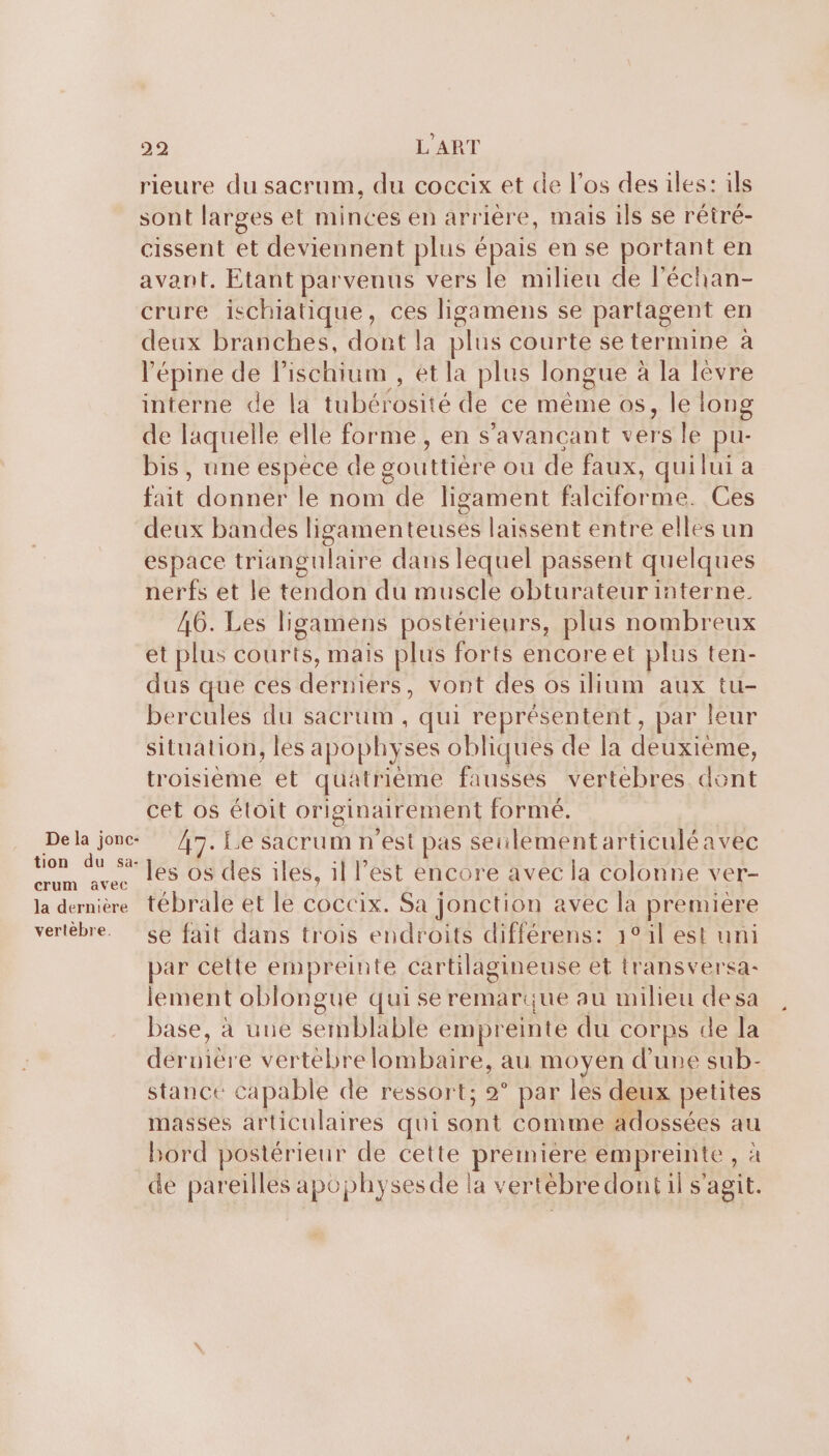 rieure du sacrum, du coccix et de l'os des iles: ils sont larges et minces en arrière, mais ils se rétré- cissent et deviennent plus épais en se portant en avant. Etant parvenus vers le milieu de léchan- crure ischiatique, ces ligamens se partagent en deux branches, dont la plus courte se termine à l'épine de lischium , et la plus longue à la lèvre interne de la Re AE de ce même os, le long de laquelle elle forme , en s'avancant vers le pu- bis , une espece de gouttièr e ou de faux, quilui a fait donner le nom de ligament ANNE Ces deux bandes ligamenteuses laissent entre elles un espace triangulaire dans lequel passent quelques nerfs et le tendon du muscle obturateurinterne. 46. Les ligamens postérieurs, plus nombreux et plus courts, mais plus forts encore et plus ten- dus que ces derniers, vont des os ilium aux tu- bercules ne sacrum , qui représentent, par leur situation, les apophyses obliques de la deuxième, troisième et quatrième fausses vertebres dont cet os étoit originairement formé. Dela jonc: 47. £.e sacrum n'est pas seuilementarticuléavec Le sx les os des iles, il l’est encore avec la colonne ver- la dernière tébrale et le coccix. Sa jonction avec la première vertèbre. se fait dans trois endroits différens: 1°il est uni par cette empreinte cartilagineuse et transversa- lement oblongue qui se remarque au milieu de sa base, à une semblable empreinte du corps de la dernière vertébre lombaire, au moyen d'une sub- stance capable de ressort; 2° par les deux petites masses articulaires qui Lie comme adossées au bord postérieur de cette premiere empreinte , : de pareilles apophyses de la vertébre dont il s'agit.