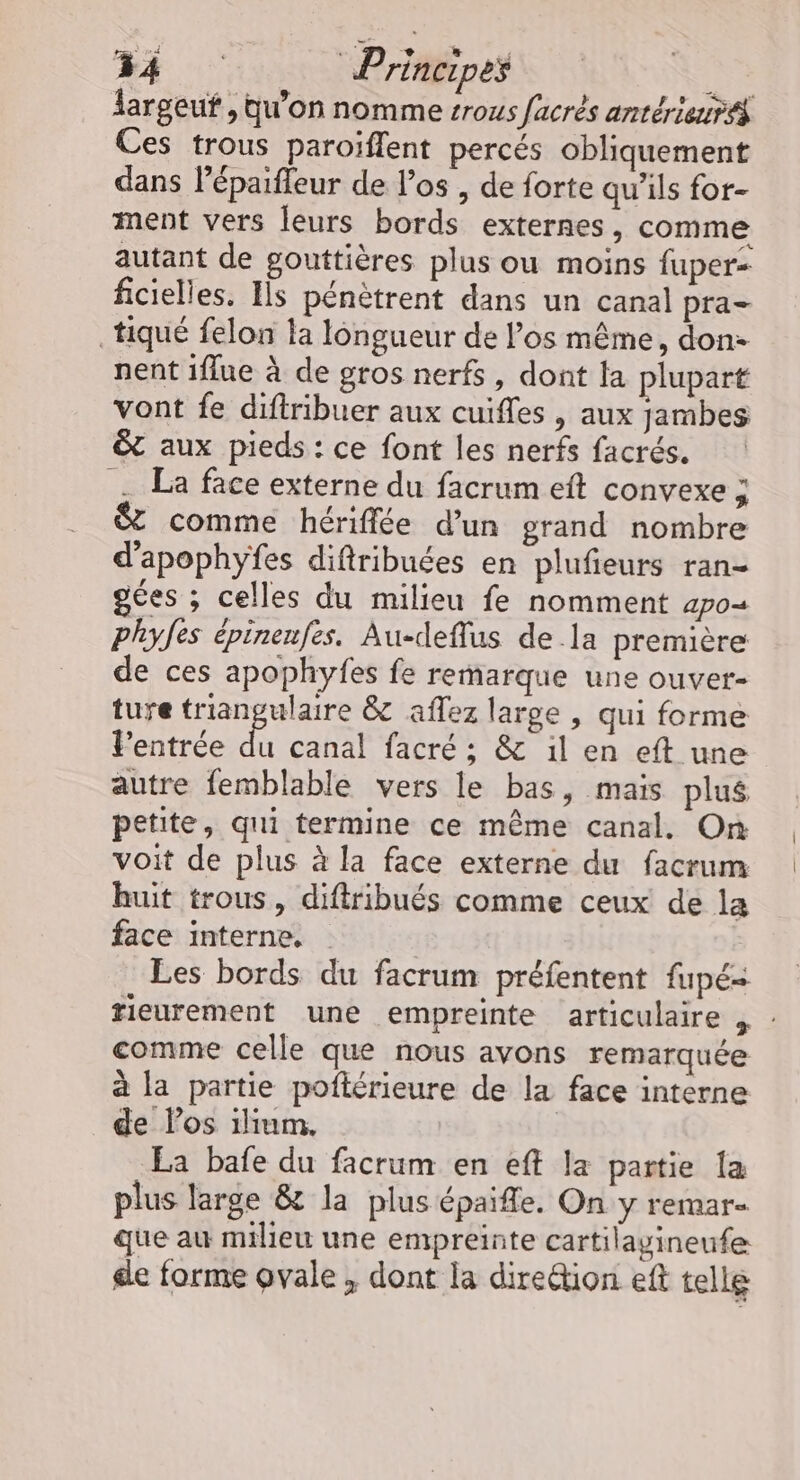 largeuf , qu'on nomme srous facrès antérierifh Ces trous paroiflent percés obliquement dans l’épaifleur de los , de forte qu’ils for- ment vers leurs bords externes, comme autant de gouttières plus ou moins fuper- ficielles. Ils pénètrent dans un canal pra _tiqué felon la longueur de los même, don- nent iflue à de gros nerfs, dont la plupart vont fe diftribuer aux cuifles , aux jambes êt aux pieds : ce font les nerfs facrés. . La face externe du facrum eft convexe ; comme hériffée d’un grand nombre d’apophyfes difiribuées en plufeurs ran- gées ; celles du milieu fe nomment 4po= Pphyfes épinenfes. Au-deflus de la première de ces apophyfes fe remarque une ouver- ture triangulaire &amp; aflez large , qui forme Fentrée du canal facré ; &amp; il en eft une autre femblable vers le bas, mais plus petite, qui termine ce même canal. On voit de plus à la face externe du facrum huit trous, diftribués comme ceux de la face interne. | Les bords du facrum préfentent fupé= rieurement une empreinte articulaire , : comme celle que nous avons remarquée à la partie poftérieure de la face interne de los ilium,. | La bafe du facrum en eft la partie {a plus large &amp; la plus épaifle. On y remar- que au milieu une empreinte cartilayineufe de forme ovale ;, dont la direétion eft telle