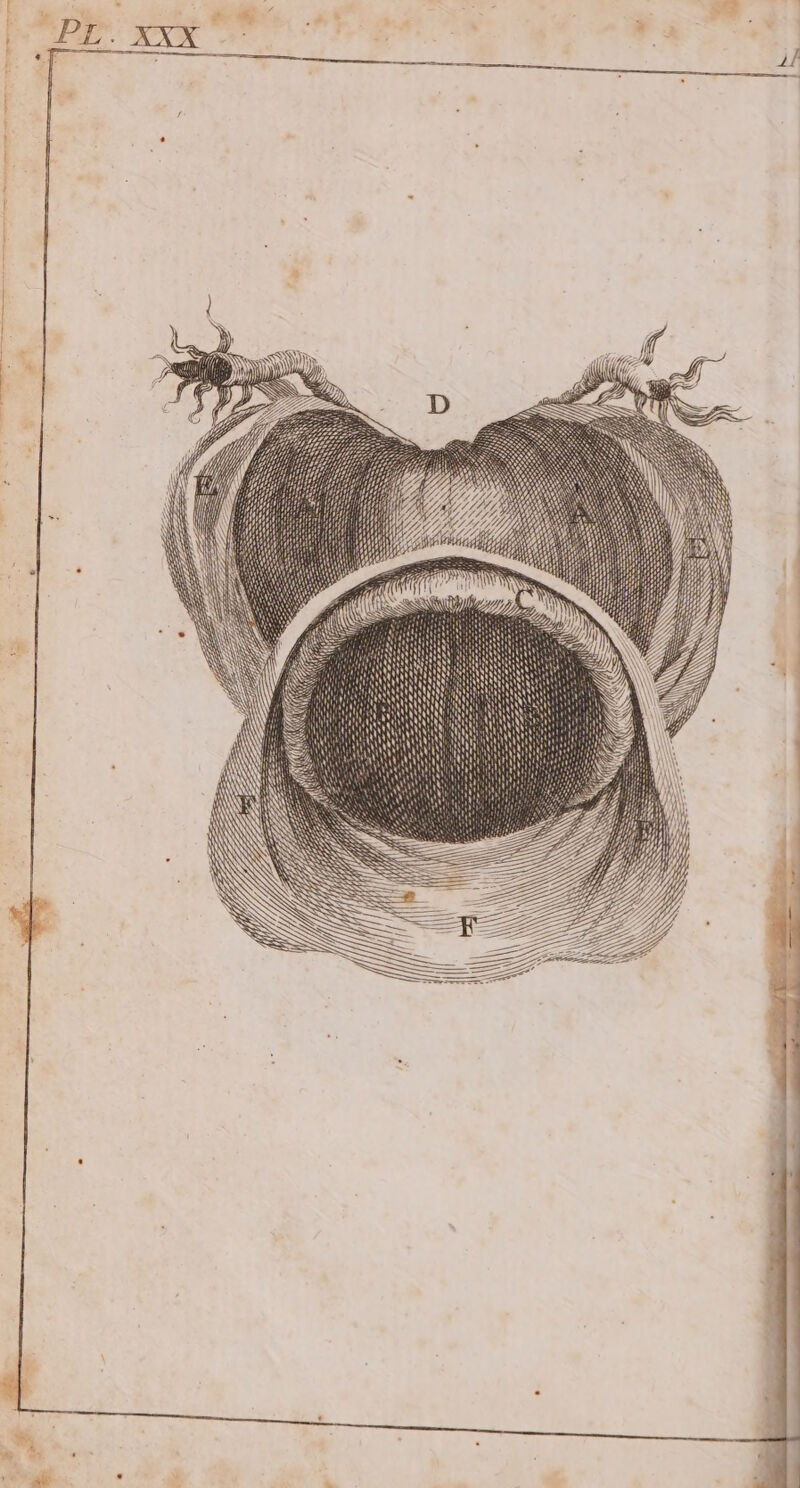 De en TS À GPL NS Le .: 14 /L, S CES DES , Ne SRE as NS 7  RE NS l \ à \ ‘ NE AN Que XX MATOS 7 sa AN À Lx PARDON ES x , | fe { xx l Ke a | G 1 \\ - « L2 | { ii A | LOC AAA RES AAA ÿ TR