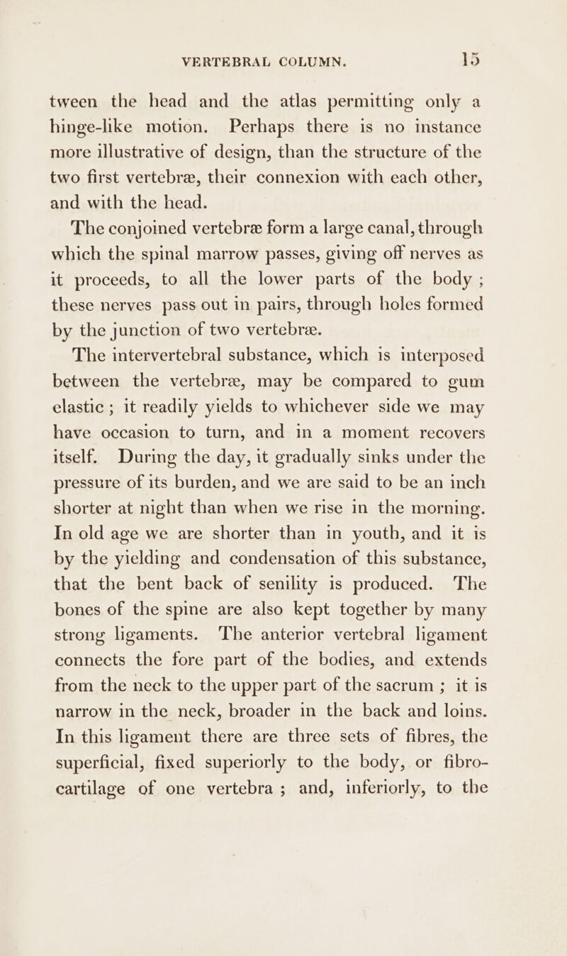 tween the head and the atlas permitting only a hinge-like motion. Perhaps there is no instance more illustrative of design, than the structure of the two first vertebre, their connexion with each other, and with the head. The conjoined vertebre form a large canal, through which the spinal marrow passes, giving off nerves as it proceeds, to all the lower parts of the body ; these nerves pass out in pairs, through holes formed by the junction of two vertebree. The intervertebral substance, which is interposed between the vertebra, may be compared to gum elastic ; it readily yields to whichever side we may have occasion to turn, and in a moment recovers itself. During the day, it gradually sinks under the pressure of its burden, and we are said to be an inch shorter at night than when we rise in the morning. In old age we are shorter than in youth, and it is by the yielding and condensation of this substance, that the bent back of senility is produced. The bones of the spine are also kept together by many strong ligaments. The anterior vertebral ligament connects the fore part of the bodies, and extends from the neck to the upper part of the sacrum ; it is narrow in the neck, broader in the back and loins. In this ligament there are three sets of fibres, the superficial, fixed superiorly to the body, or fibro- cartilage of one vertebra ; and, inferiorly, to the