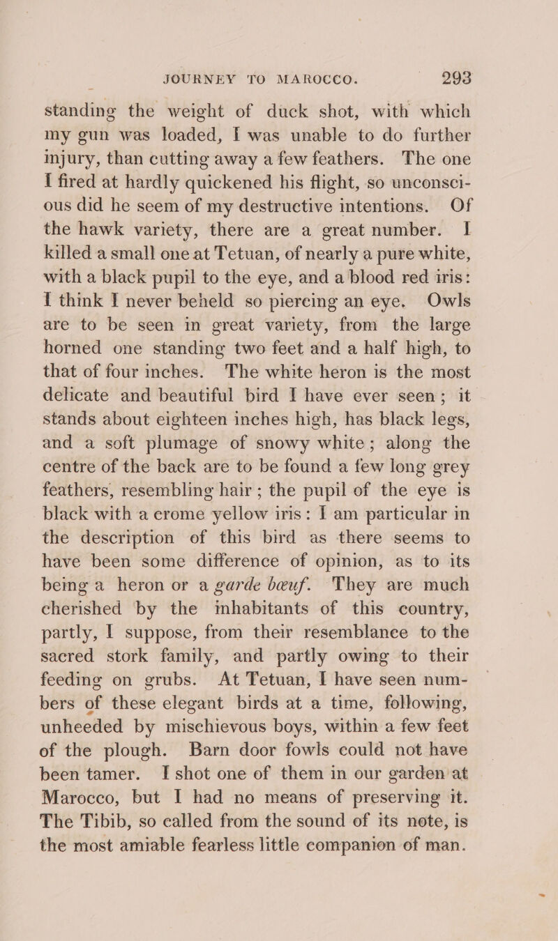 standing the weight of duck shot, with which my gun was loaded, | was unable to do further injury, than cutting away a few feathers. The one { fired at hardly quickened his flight, so unconsci- ous did he seem of my destructive intentions. Of the hawk variety, there are a great number. I killed a small one at Tetuan, of nearly a pure white, with a black pupil to the eye, and a blood red iris: { think I never beheld so piercing an eye. Owls are to be seen in great variety, from the large horned one standing two feet and a half high, to that of four inches. The white heron is the most delicate and beautiful bird I have ever seen; it stands about eighteen inches high, has black legs, and a soft plumage of snowy white; along the centre of the back are to be found a few long grey feathers, resembling hair ; the pupil of the eye is black with a erome yellow iris: I am particular in the description of this bird as there seems to have been some difference of opinion, as to its being a heron or a garde beuf. They are much cherished by the mbhabitants of this country, partly, | suppose, from their resemblance to the sacred stork family, and partly owing to their feeding on grubs. At Tetuan, I have seen num- bers of these elegant birds at a time, following, unheeded by mischievous boys, within a few feet of the plough. Barn door fowls could not have been tamer. [shot one of them in our garden at Marocco, but I had no means of preserving it. The Tibib, so called from the sound of its note, is the most amiable fearless little companion of man.