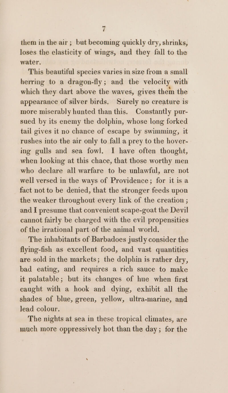 - them in the air; but becoming quickly dry, shrinks, loses the elasticity of wings, and they fall to the water. This beautiful species varies in size from a small herring to a dragon-fly; and the velocity with which they dart above the waves, gives them the appearance of silver birds. Surely no creature is more miserably hunted than this. Constantly pur- sued by its enemy the dolphin, whose long forked tail gives it no chance of escape by swimming, it rushes into the air only to fall a prey to the hover- ing gulls and sea fowl. I have often thought, when looking at this chace, that those worthy men who declare all warfare to be unlawful, are not well versed in the ways of Providence; for it isa fact not to be denied, that the stronger feeds upon the weaker throughout every link of the creation ; and I presume that convenient scape-goat the Devil cannot fairly be charged with the evil propensities of the irrational part of the animal world. The inhabitants of Barbadoes justly consider the flying-fish as excellent food, and vast quantities are sold in the markets; the dolphin is rather dry, bad eating, and requires a rich sauce to make it palatable; but its changes of hue when first caught with a hook and dying, exhibit all the shades of blue, green, yellow, ultra-marine, and lead colour. The nights at sea in these tropical climates, are much more oppressively hot than the day; for the