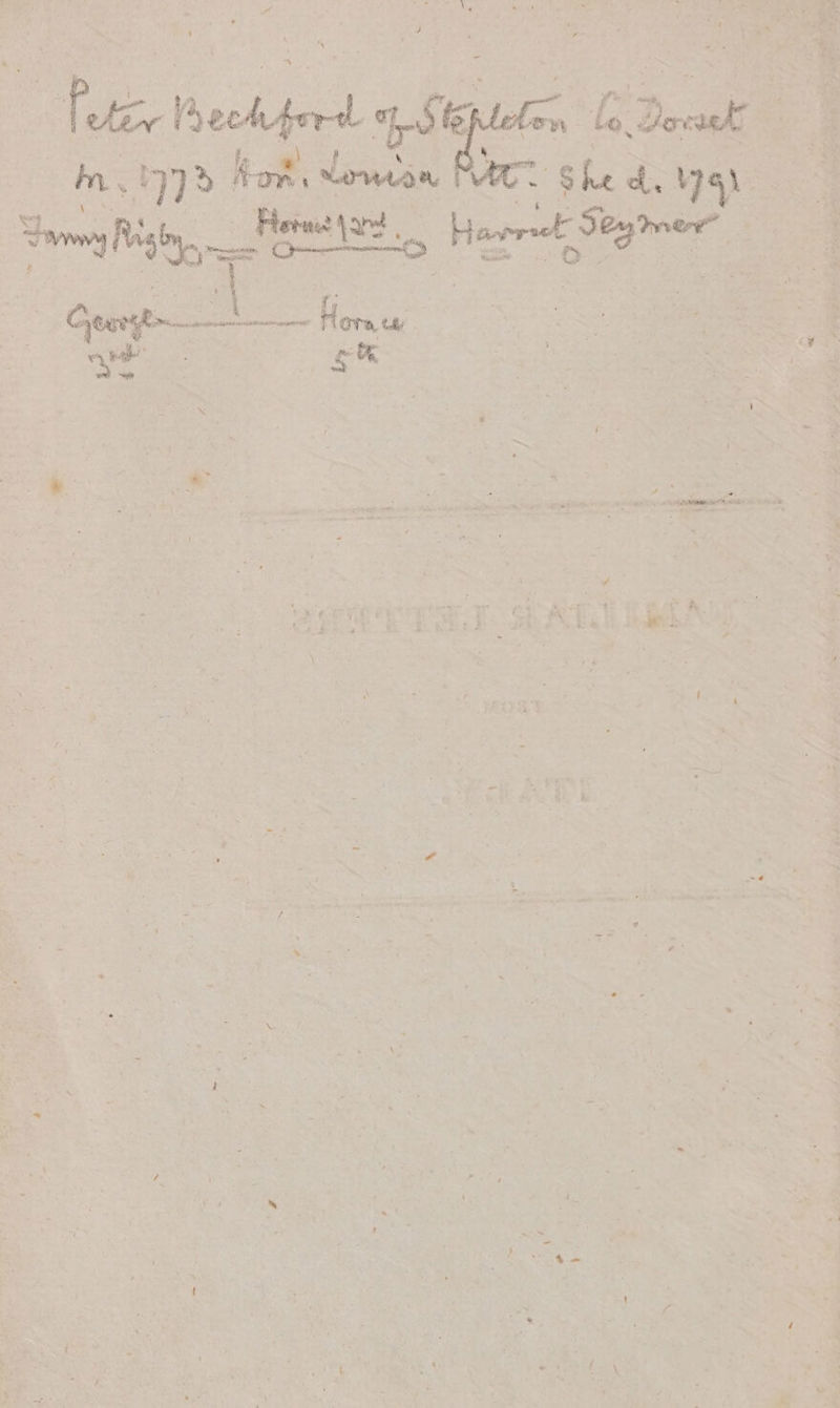 *. X ai f ‘ oo? ~ /* en « . ‘ = ‘N ~ . i - { 9 \ £ Ws t y : ‘ ', = , , = / 4 ‘ s , \ x y ~ é - ree ra
