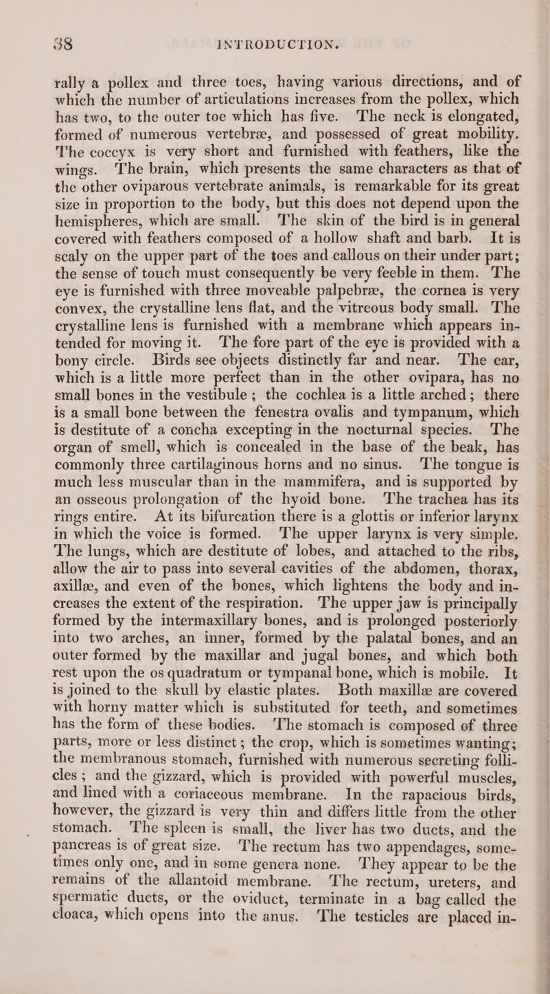 rally a pollex and three toes, having various directions, and of which the number of articulations increases from the pollex, which has two, to the outer toe which has five. The neck is elongated, formed of numerous vertebrae, and possessed of great mobility, The coccyx is very short and furnished with feathers, like the wings. The brain, which presents the same characters as that of the other oviparous vertebrate animals, is remarkable for its great size in proportion to the body, but this does not depend upon the hemispheres, which are small. The skin of the bird is in general covered with feathers composed of a hollow shaft and barb. It is scaly on the upper part of the toes and callous on their under part; the sense of touch must consequently be very feeble in them. The eye is furnished with three moveable palpebræ, the cornea is very convex, the crystalline lens flat, and the vitreous body small. The crystalline lens is furnished with a membrane which appears in- tended for moving it. The fore part of the eye is provided with a bony circle. Birds see objects distinctly far and near. The ear, which is a little more perfect than in the other ovipara, has no small bones in the vestibule; the cochlea is a little arched; there is a small bone between the fenestra ovalis and tympanum, which is destitute of a concha excepting in the nocturnal species. The organ of smell, which is concealed in the base of the beak, has commonly three cartilayinous horns and no sinus. The tongue is much less muscular than in the mammifera, and is supported by an osseous prolongation of the hyoid bone. The trachea has its rings entire. At its bifurcation there is a glottis or inferior larynx in which the voice is formed. ‘The upper larynx is very simple. The lungs, which are destitute of lobes, and attached to the ribs, allow the air to pass into several cavities of the abdomen, thorax, axilla, and even of the bones, which lightens the body and in- creases the extent of the respiration. ‘The upper jaw is principally formed by the intermaxillary bones, and is prolonged posteriorly into two arches, an inner, formed by the palatal bones, and an outer formed by the maxillar and jugal bones, and which both rest upon the os quadratum or tympanal bone, which is mobile. It is Joined to the skull by elastic plates. Both maxillæ are covered with horny matter which is substituted for teeth, and sometimes has the form of these bodies. The stomach is composed of three parts, more or less distinct; the crop, which is sometimes wanting; the membranous stomach, furnished with numerous secreting folli- cles ; and the gizzard, which is provided with powerful muscles, and lined with a coriaceous membrane. In the rapacious birds, however, the gizzard is very thin and differs little from the other stomach. The spleen is small, the liver has two ducts, and the pancreas is of great size. The rectum has two appendages, some- times only one, and in some genera none. They appear to be the remains of the allantoid membrane. The rectum, ureters, and spermatic ducts, or the oviduct, terminate in a bag called the cloaca, which opens into the anus. The testicles are placed in- ie te le. cie +