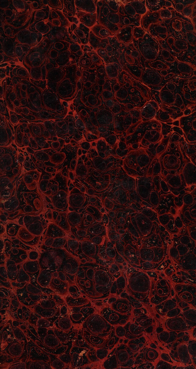 No text description is available for this image