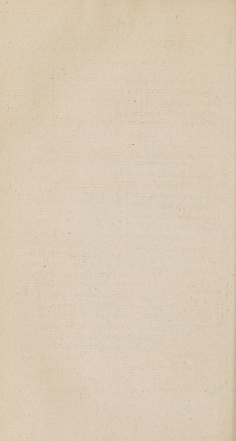 ’ bata nice) ROC ing ite Pl, Sis Rie a Lok eater oe Sect ee ‘*) *%. A per Gh | ya — Re Geer we: nee Pee ; by sae a ty — ee fh re fern Bye i : aa ieciee os peels. - 26 ity bi de aris “ : pt ; . ne 0. : eo . * ‘ . | i | eh ‘ 7 ie , ; a 4 eh sa eRe yar a ha 2728 oe ita Gaje” 4 ents ‘ \ | Ml icy Sat a re ei tie . eat f \ a eek sk an eerie ee : , SS a : - | | 5, b , se het ater ; | , Ae ny : BY Nate mah eee “ Te a A? Oe ‘ad F o
