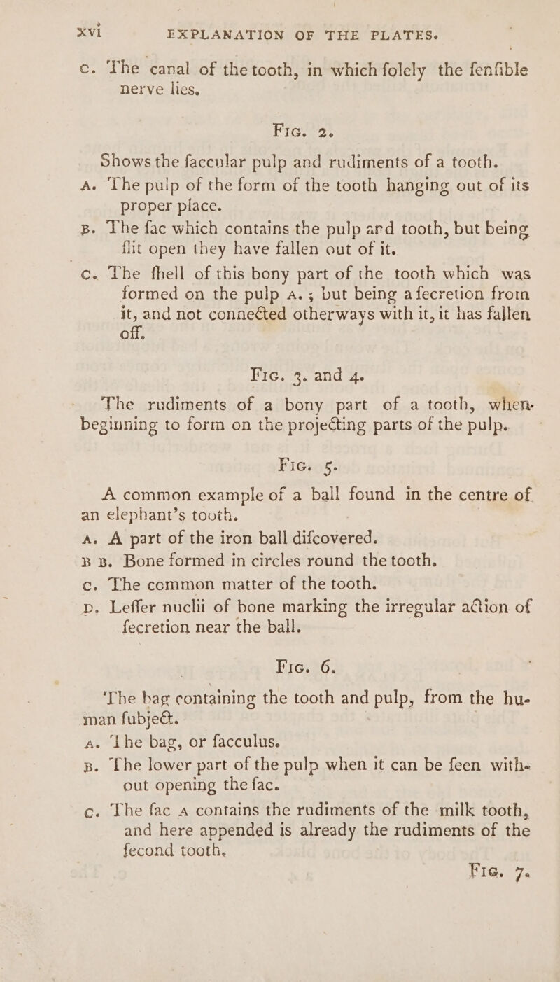 c. The canal of the tooth, in which folely the fenfible nerve lies. Fic.’ 2. Shows the faccular pulp and rudiments of a tooth. A. The pulp of the form of the tooth hanging out of its proper place. B. ‘The fac which contains the pulp ard tooth, but being flit open they have fallen out of it. ec. The fhell of this bony part of the tooth which was formed on the pulp a.; but being afecretion froin it, and not connected other ways with it, it has fallen off, Fic. 3. and 4. The rudiments of a bony part of a tooth, Wen. beginning to form on the projecting parts of the pulp. Fic. 5. A common example of a ball found in the centre aE an elephant’s tooth. a. A part of the iron ball difcovered. 38 3B. Bone formed in circles round the tooth. c., The common matter of the tooth. p. Leffer nuclii of bone marking the irregular aCtion of fecretion near the ball. Fie. 36. The bag containing the tooth and pulp, from the hu- man fubjec. a. ‘Lhe bag, or facculus. s. The lower part of the pulp when it can be feen with- out opening the fac. c. The fac a contains the rudiments of the milk tooth, and here appended is already the rudiments of the fecond tooth. Pic, 7%.