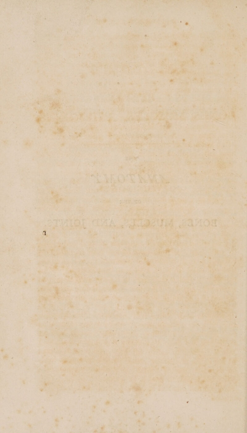 Z Ow vee Pe ERR 0% ape” et ees