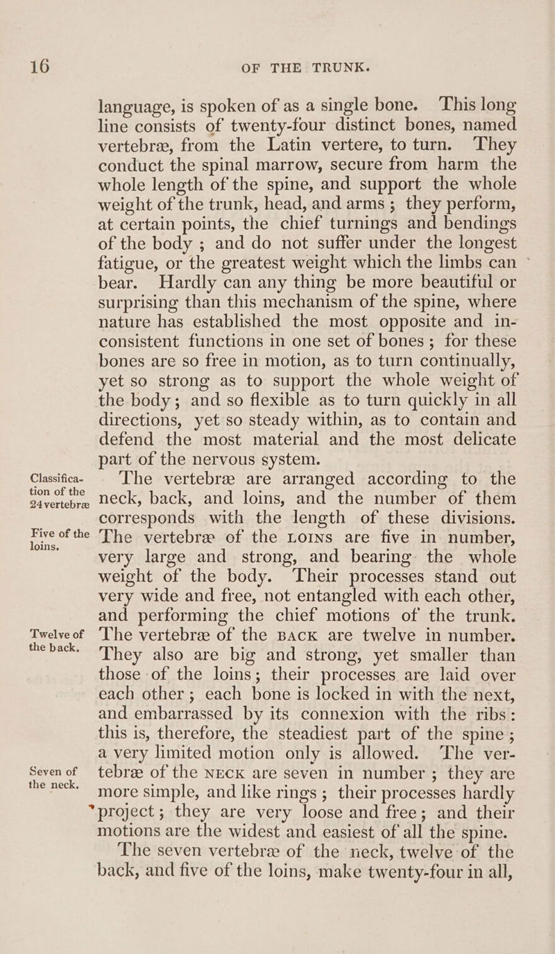 Classifica- tion of the 24 vertebrze Five of the loins. Twelve of the back. Seven of the neck. language, is spoken of as a single bone. This long line consists of twenty-four distinct bones, named vertebrae, from the Latin vertere, to turn. ‘They conduct the spinal marrow, secure from harm the whole length of the spine, and support the whole weight of the trunk, head, and arms ; they perform, at certain points, the chief turnings and bendings of the body ; and do not suffer under the longest fatigue, or the greatest weight which the limbs can © bear. Hardly can any thing be more beautiful or surprising than this mechanism of the spine, where nature has established the most opposite and in- consistent functions in one set of bones; for these bones are so free in motion, as to turn continually, yet so strong as to support the whole weight of the body; and so flexible as to turn quickly in all directions, yet so steady within, as to contain and defend the most material and the most delicate part of the nervous system. The vertebree are arranged according to the neck, back, and loins, and the number of them corresponds with the length of these divisions. The vertebre of the Loins are five in number, very large and strong, and bearing the whole weight of the body. ‘Their processes stand out very wide and free, not entangled with each other, and performing the chief motions of the trunk. The vertebree of the Back are twelve in number. They also are big and strong, yet smaller than those of the loins; their processes are laid over each other; each bone is locked in with the next, and embarrassed by its connexion with the ribs: this is, therefore, the steadiest part of the spine ; a very limited motion only is allowed. ‘The ver- tebree of the Neck are seven in number ; they are more simple, and like rings ; their processes hardly project ; they are very loose and free; and their motions are the widest and easiest of all the spine. The seven vertebra of the neck, twelve of the back, and five of the loins, make twenty-four in all,